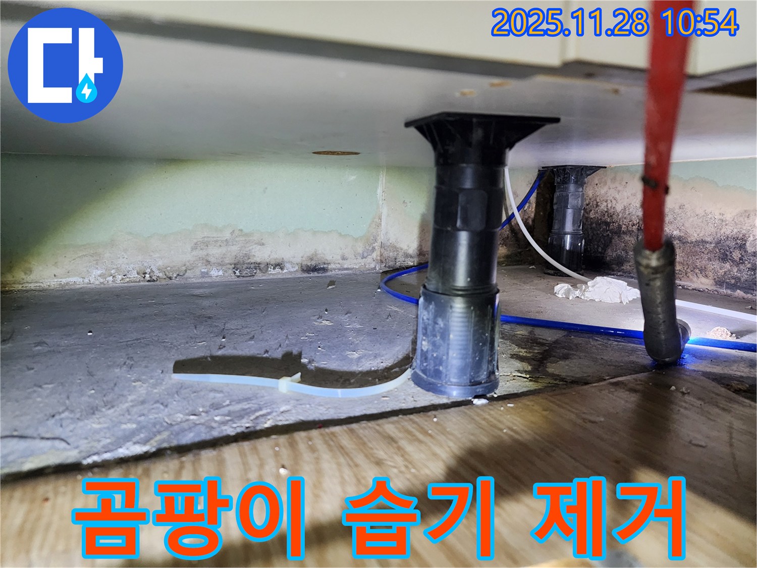 싱크대 하부 누수 - 곰팡이, 습기, 악취 제거, 쾌적
