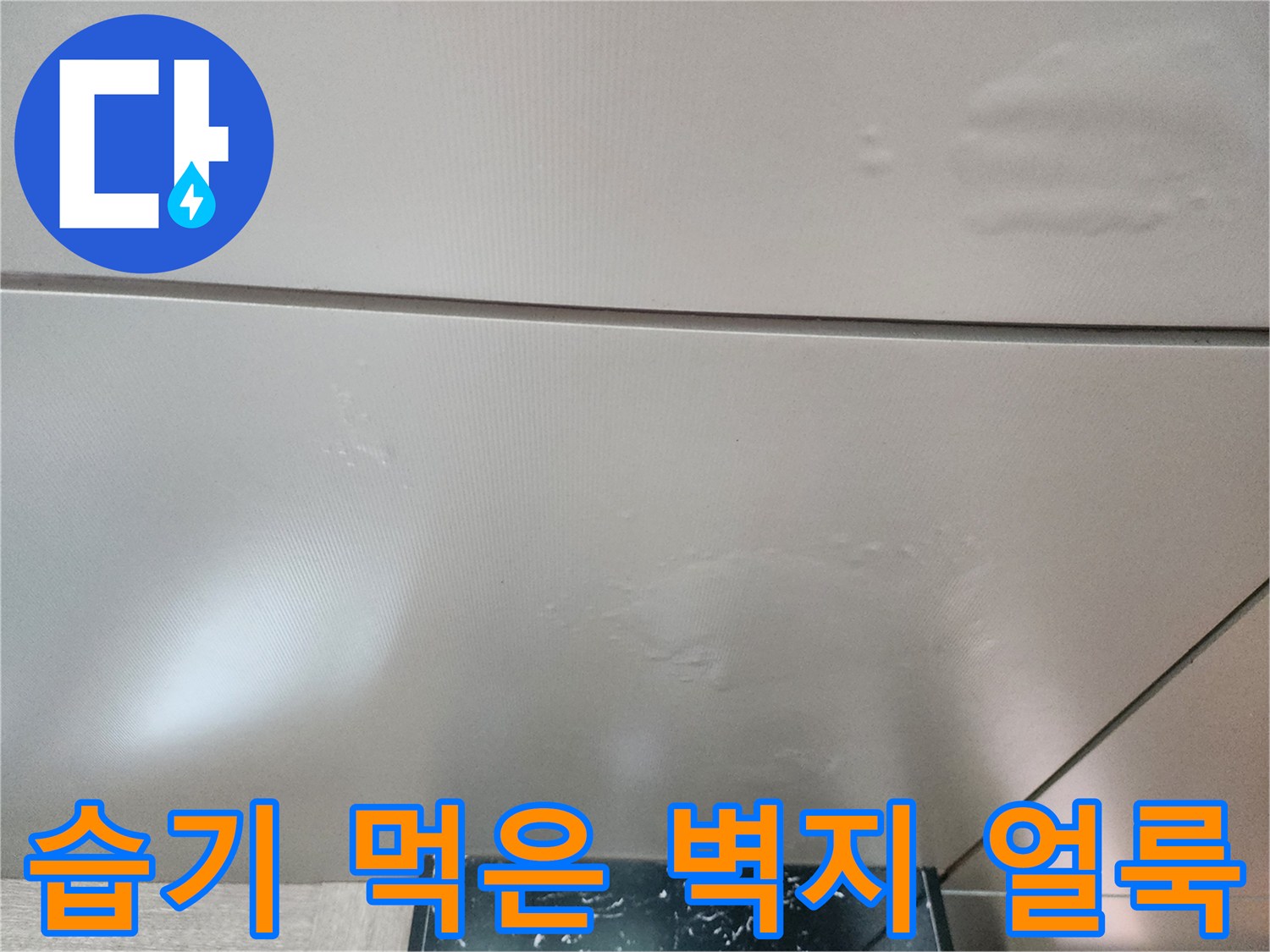 포천 신북면 현장의 습기로 변색된 천장 마감재 상세 사진입니다.
