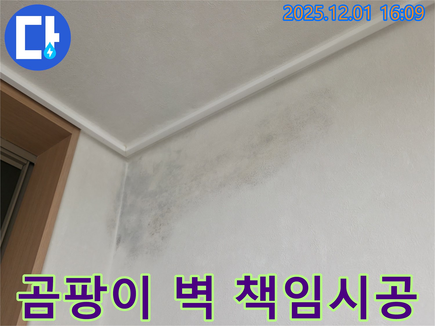곰팡이 벽 책임 시공 - 용인 기흥 누수 전문