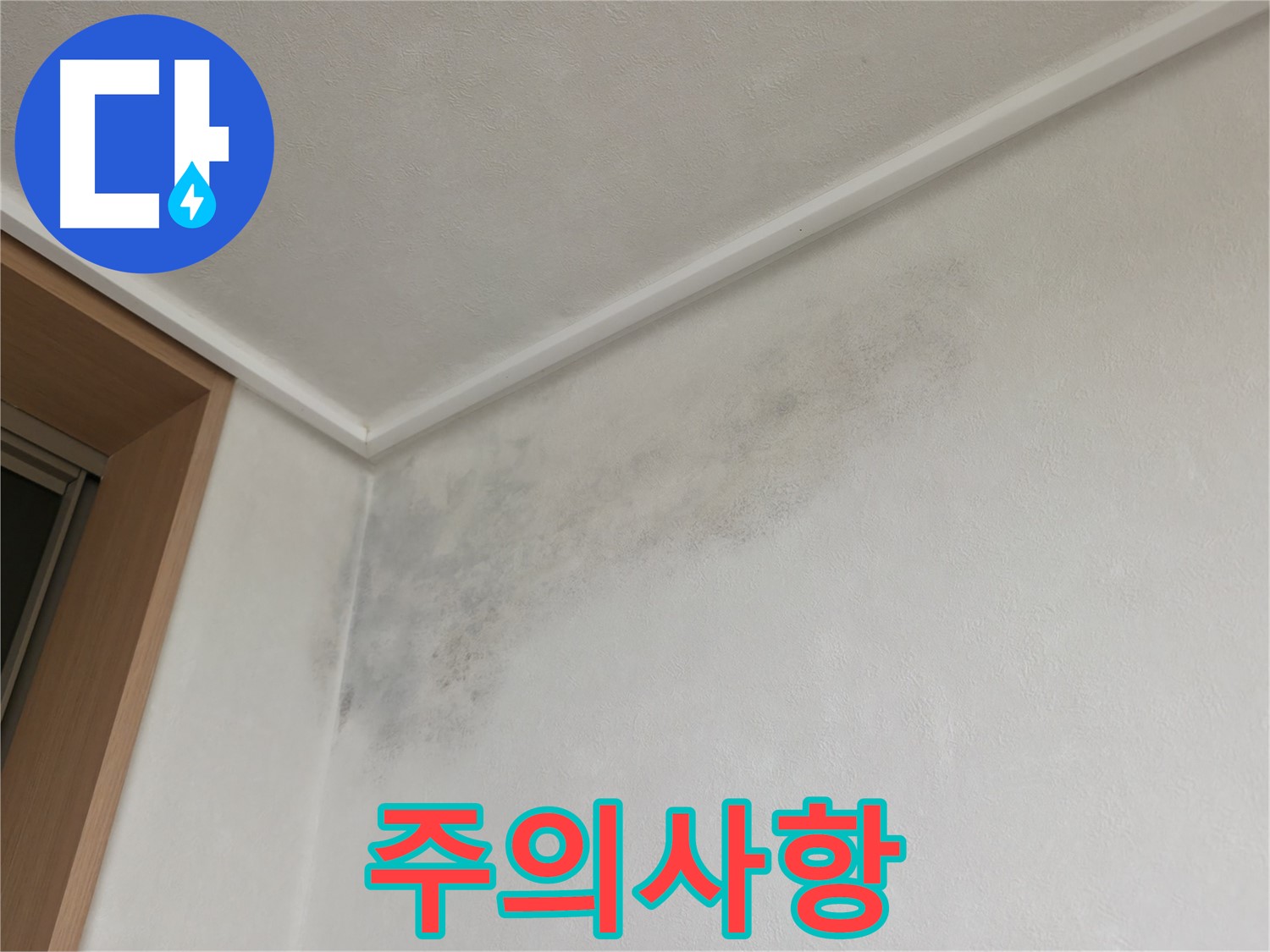 기흥역 누수 - 곰팡이 제거 시 주의사항