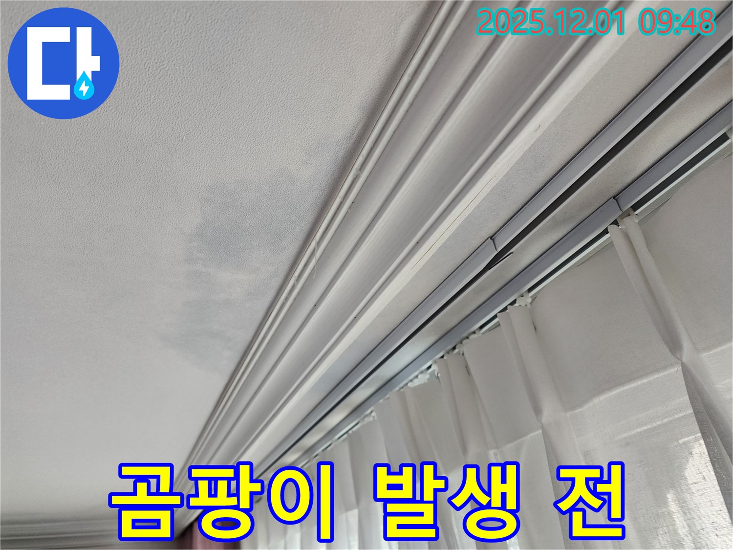 성남 중원구 선경상대원2차 아파트 - 천장 누수, 곰팡이 발생 전 빠른 조치가 중요
