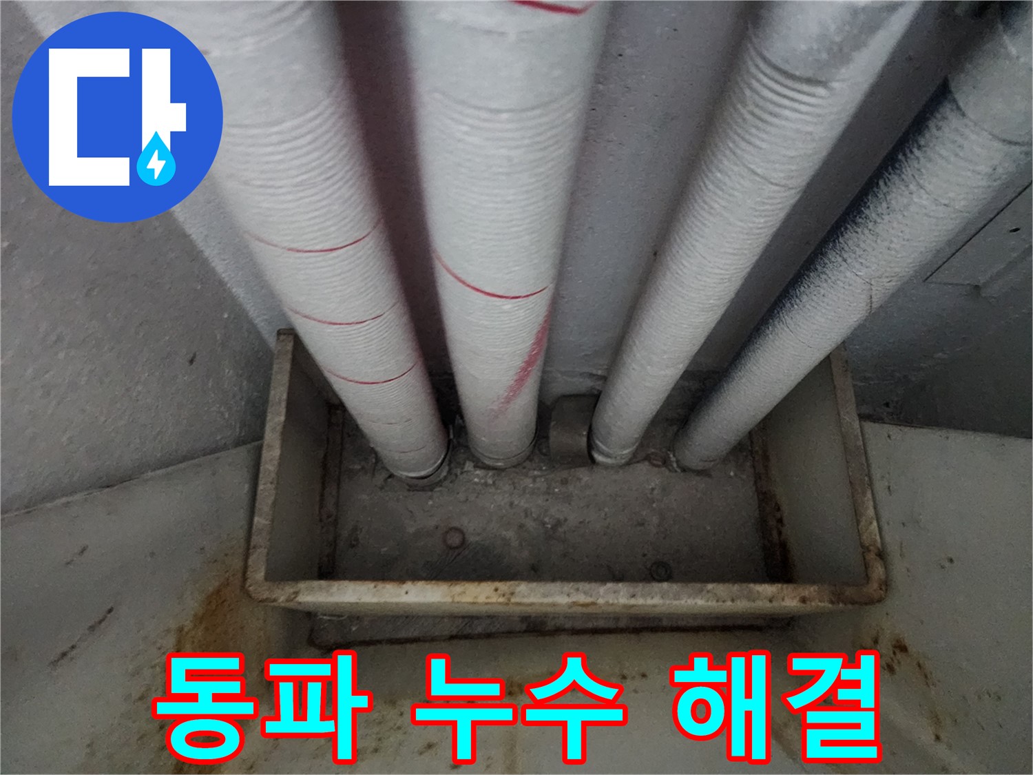 장안구 아파트 누수 - 겨울철 동파, 신속한 해결로 추가 피해 최소화