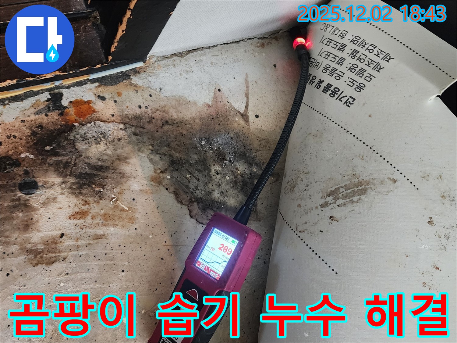 광진구 누수 해결 과정 - 곰팡이와 습기를 제거하고 누수 원인을 차단하여 쾌적한 환경을 만드는 모습입니다.