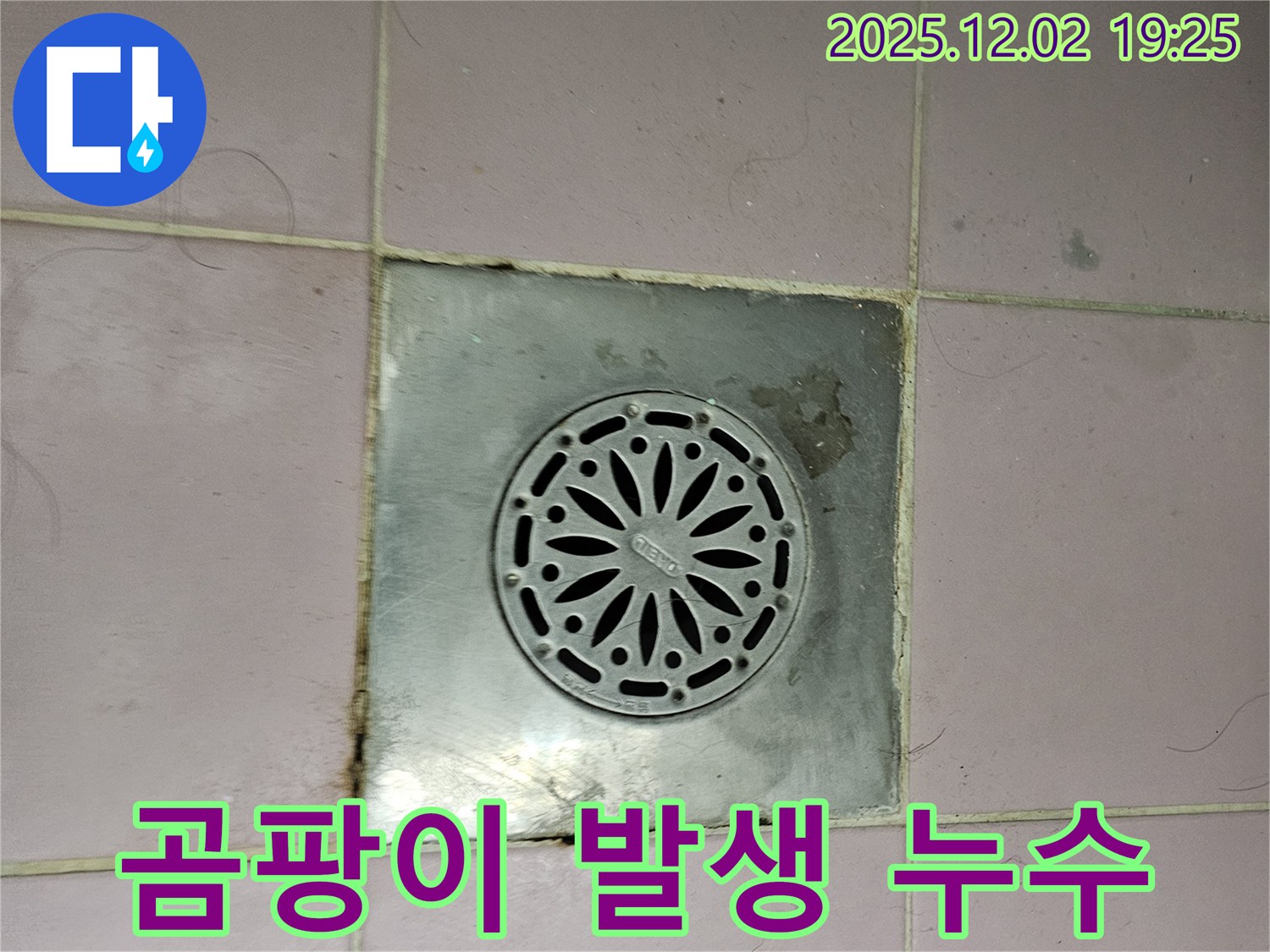 배수구 주변 곰팡이 발생으로 인한 누수 - 곰팡이는 누수의 증거일 수 있습니다. 꼼꼼한 점검과 제거가 필요합니다.