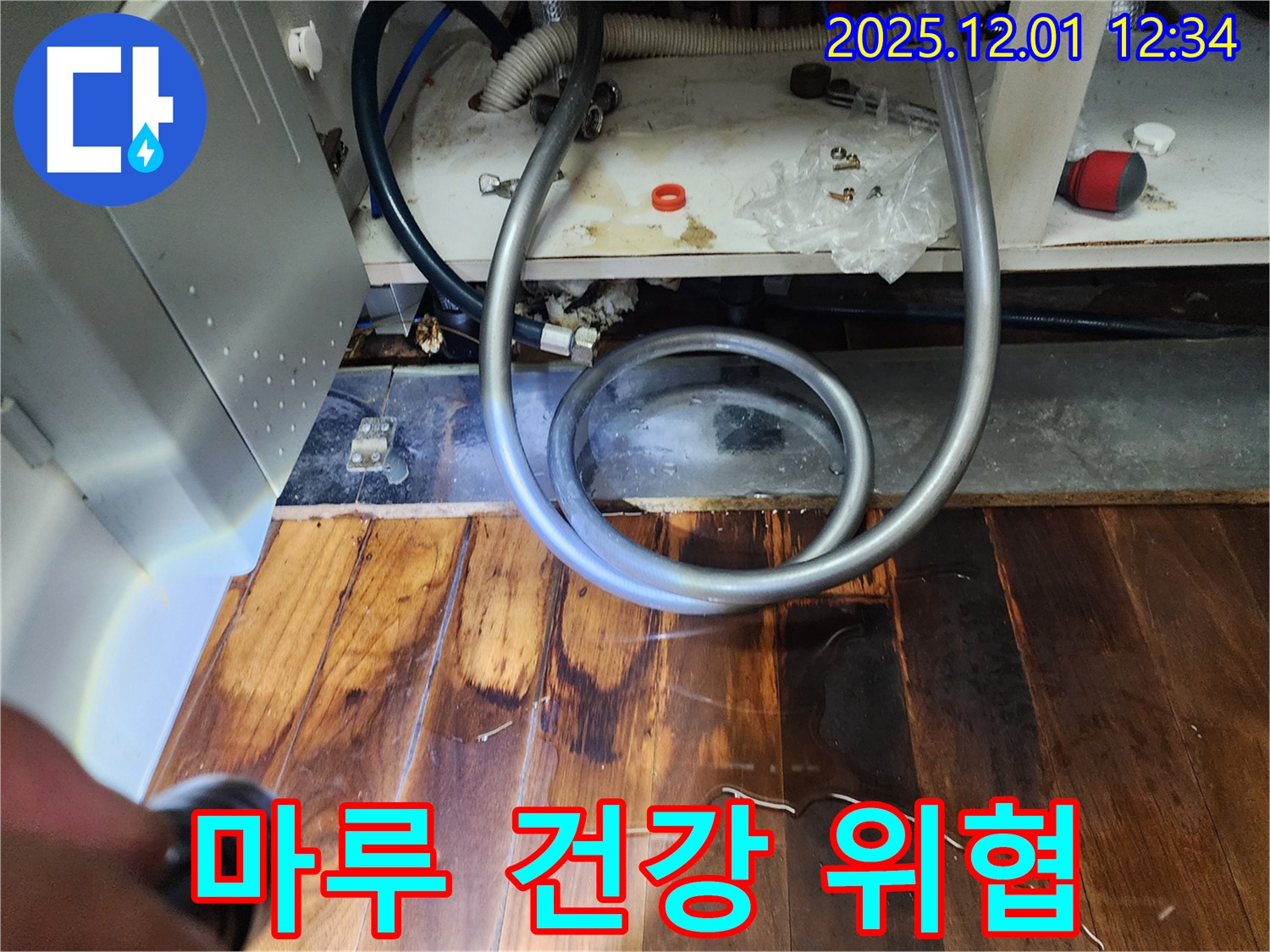 포천 이동면 누수 - 싱크대 하부 곰팡이, 마루 건강에 심각한 위협