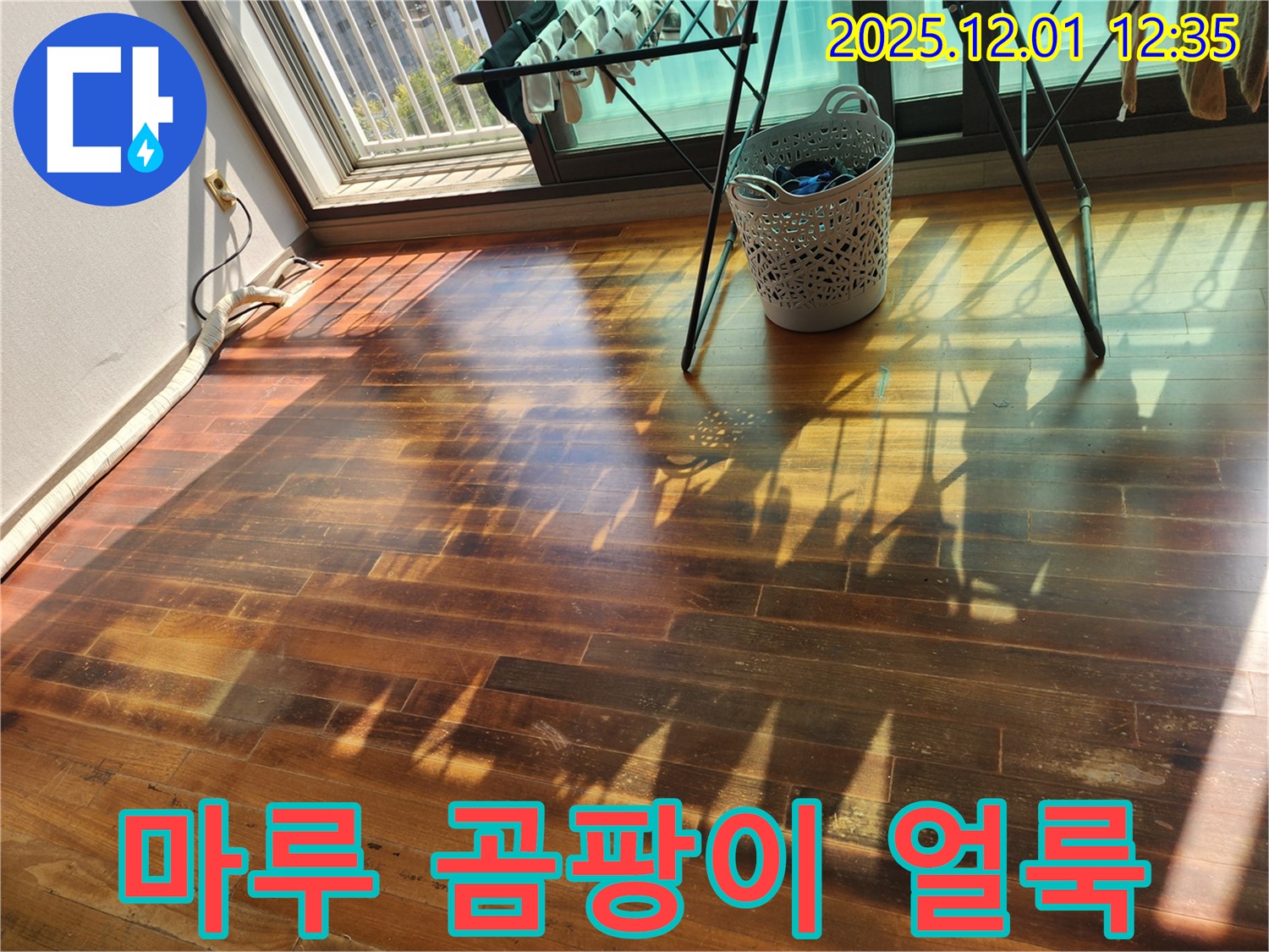 포천 이동면 도평리 주택 마루 곰팡이 얼룩 - 누수탐지 전문 업체가 곰팡이 걱정 없이 깨끗하게 만들어 드립니다.