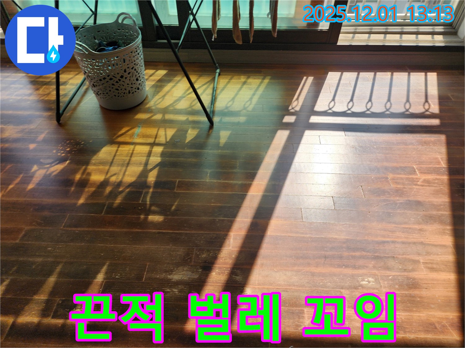 포천시 이동면 도평2리 누수 - 햇빛 아래 마루가 끈적거리고 벌레가 꼬인다면 누수와 위생 문제를 의심하세요!