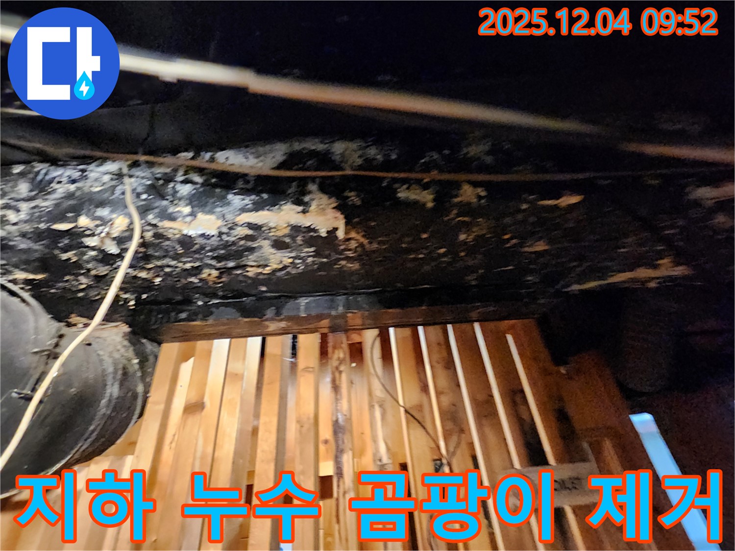 마조로 건물 지하 누수 - 곰팡이 완벽 제거! 쾌적한 공간으로 변신 완료