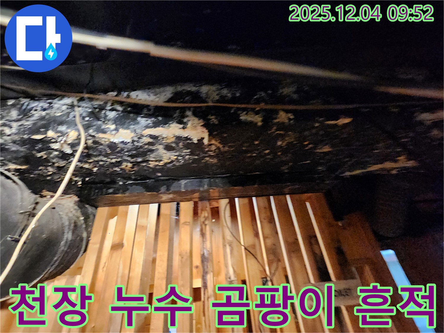 성동구 마조로에서 발생한 천장 누수 - 곰팡이 흔적 발견으로 누수탐지 및 공사 진행