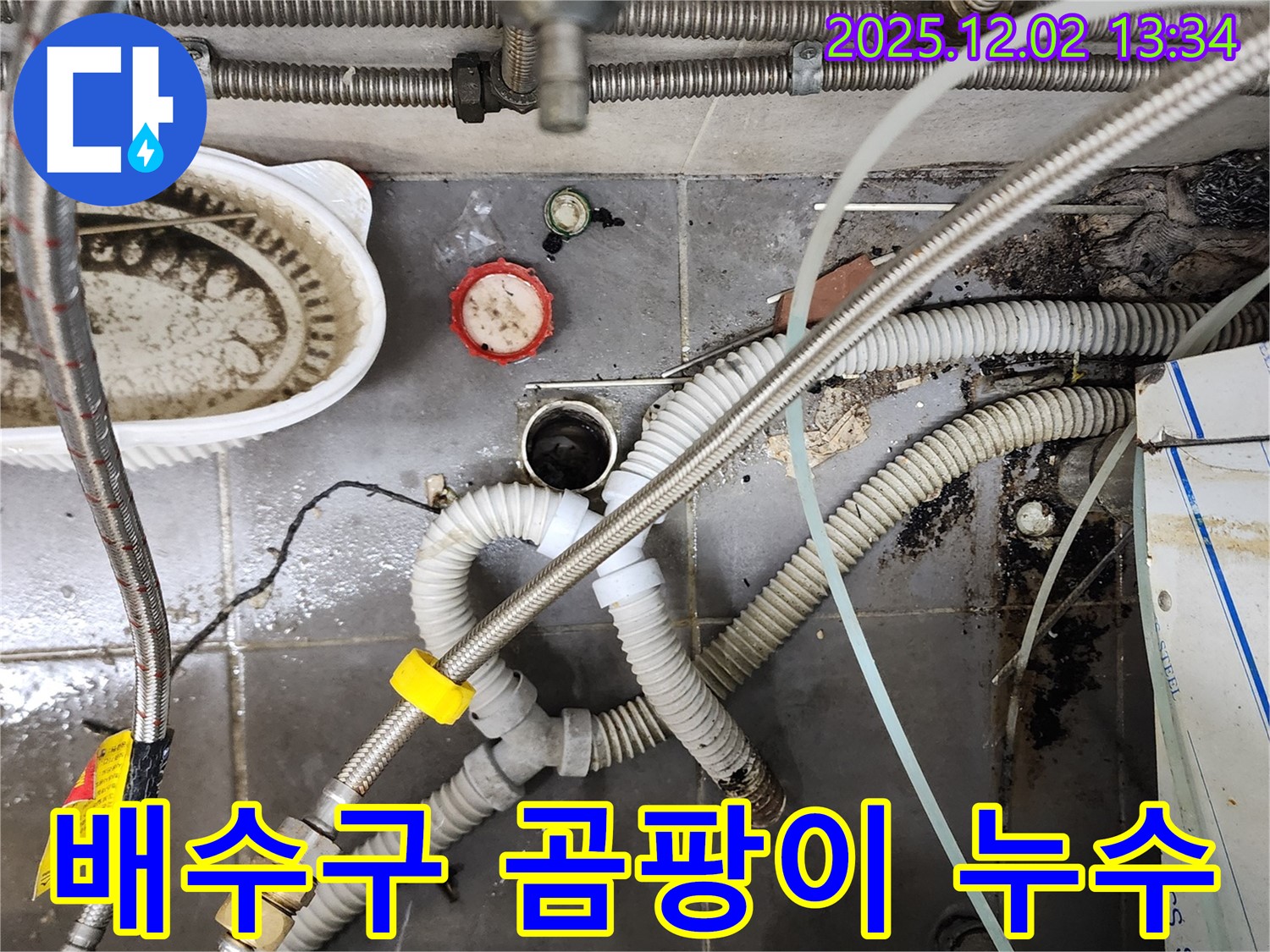 싱크대 배수구 주변 곰팡이 - 누수 원인 제거 및 곰팡이 청소