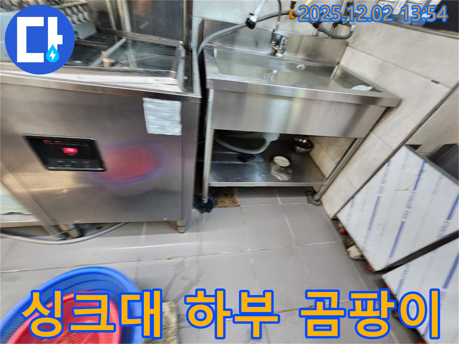 포천시 이동면 노곡리 식당 싱크대 하부장 곰팡이 - 누수 점검으로 곰팡이 확산을 막으세요!