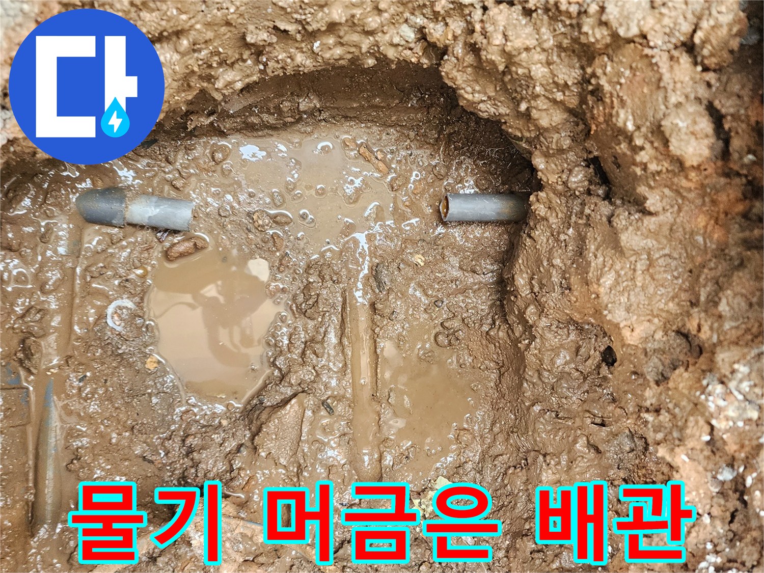 누수가 진행된-배관 주변의 젖은 토양과 노출된 관 부위입니다.