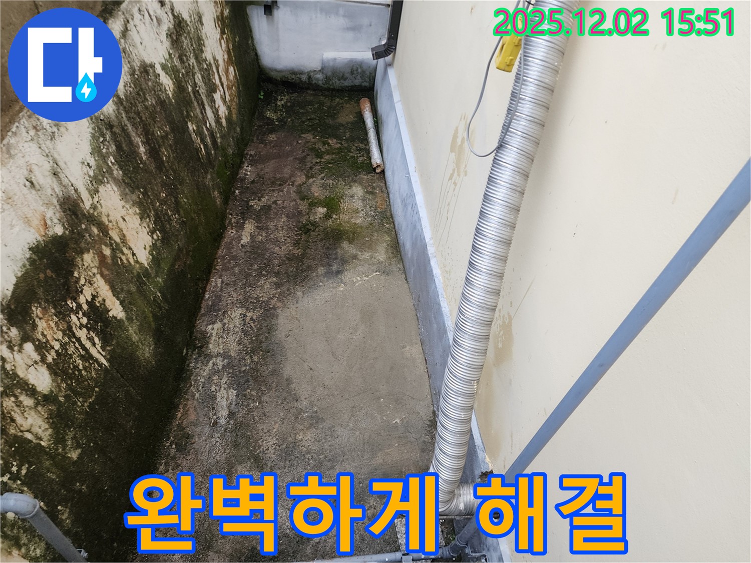 일동면 좁은 공간 곰팡이 제거 - 완벽한 시공으로 곰팡이, 냄새, 습기 문제 해결!