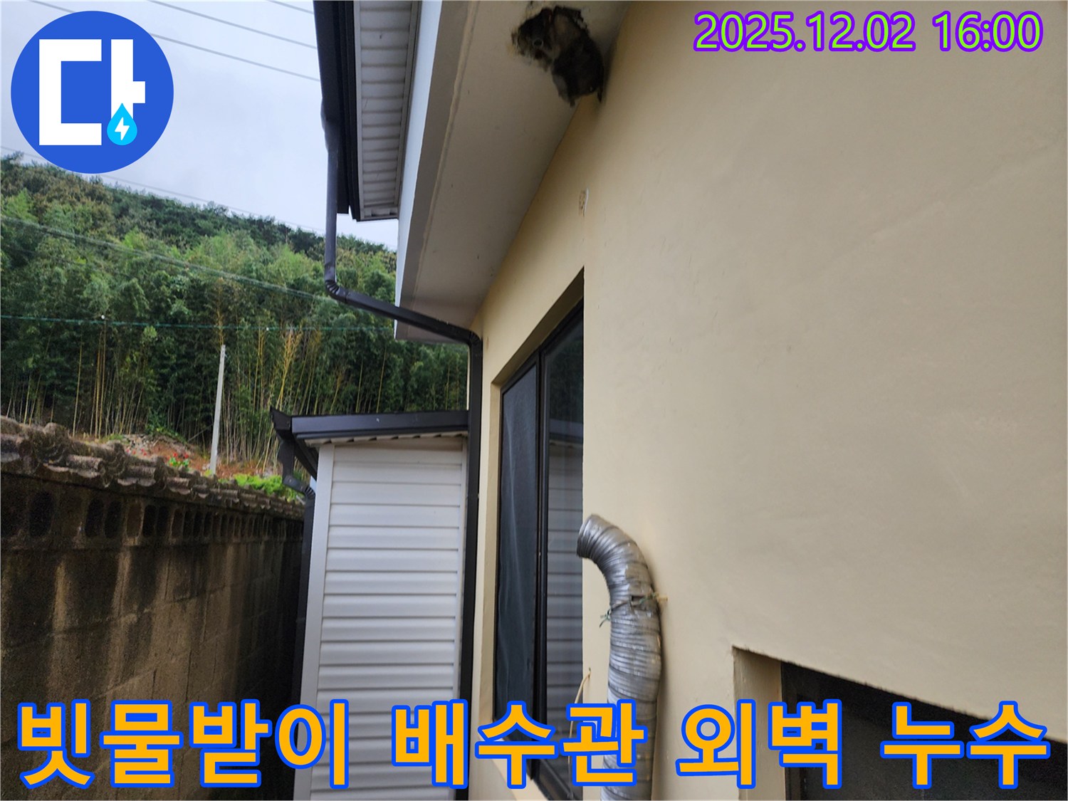 포천시 일동면 주택 빗물받이 연결부 불량 및 배수관 막힘으로 인한 외벽 누수 해결 - 연결부 수리 및 배수관 청소