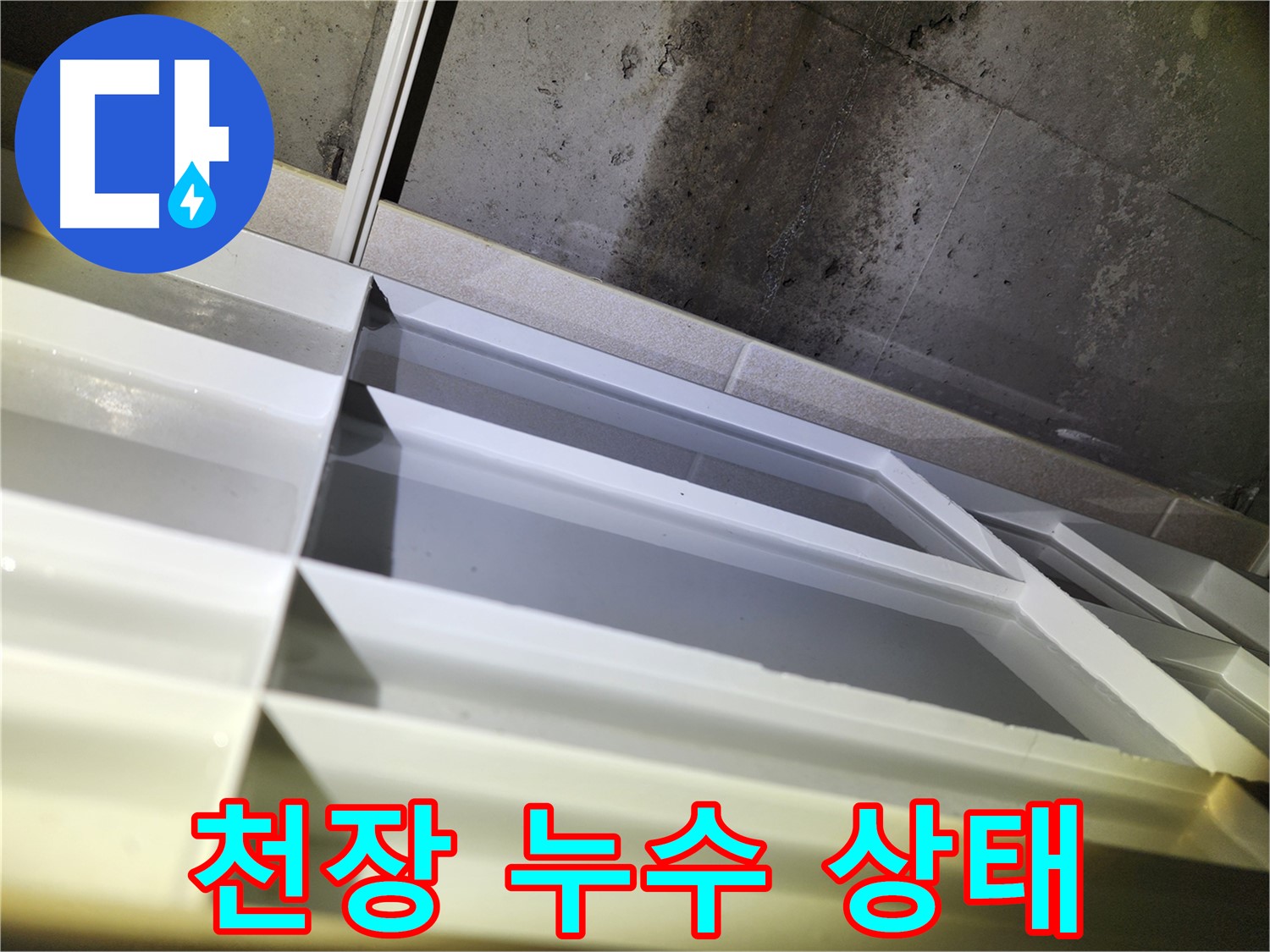 동두천 누수 - 지행동 동양엔파트 열화상 카메라를 이용한 누수 정밀 탐지