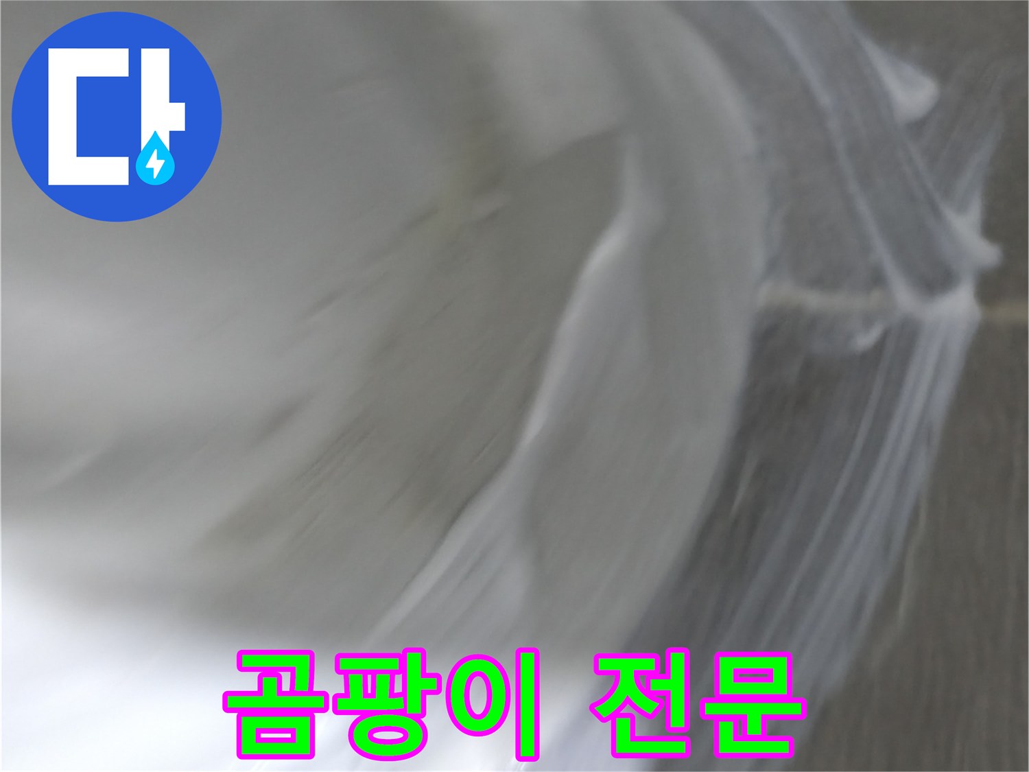 건영 월드컵 아파트 누수 - 마포구 곰팡이 제거 전문 업체를 선택하세요.