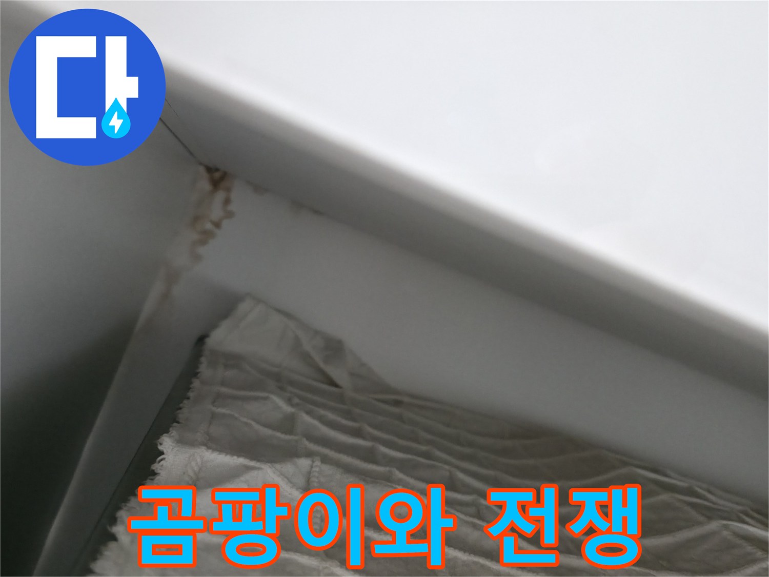 마포구 중동 건영 월드컵 아파트 누수 - 곰팡이 발생, 이제 누수와의 전쟁 시작