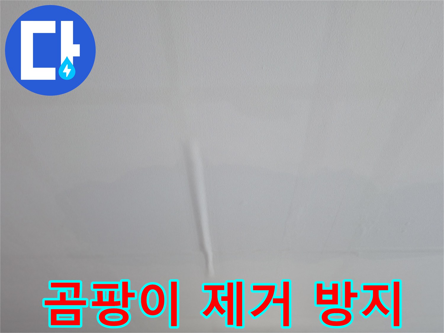 의왕시 능안동 백운그린힐 아파트 벽 곰팡이 - 완벽 제거 및 곰팡이 방지 시공
