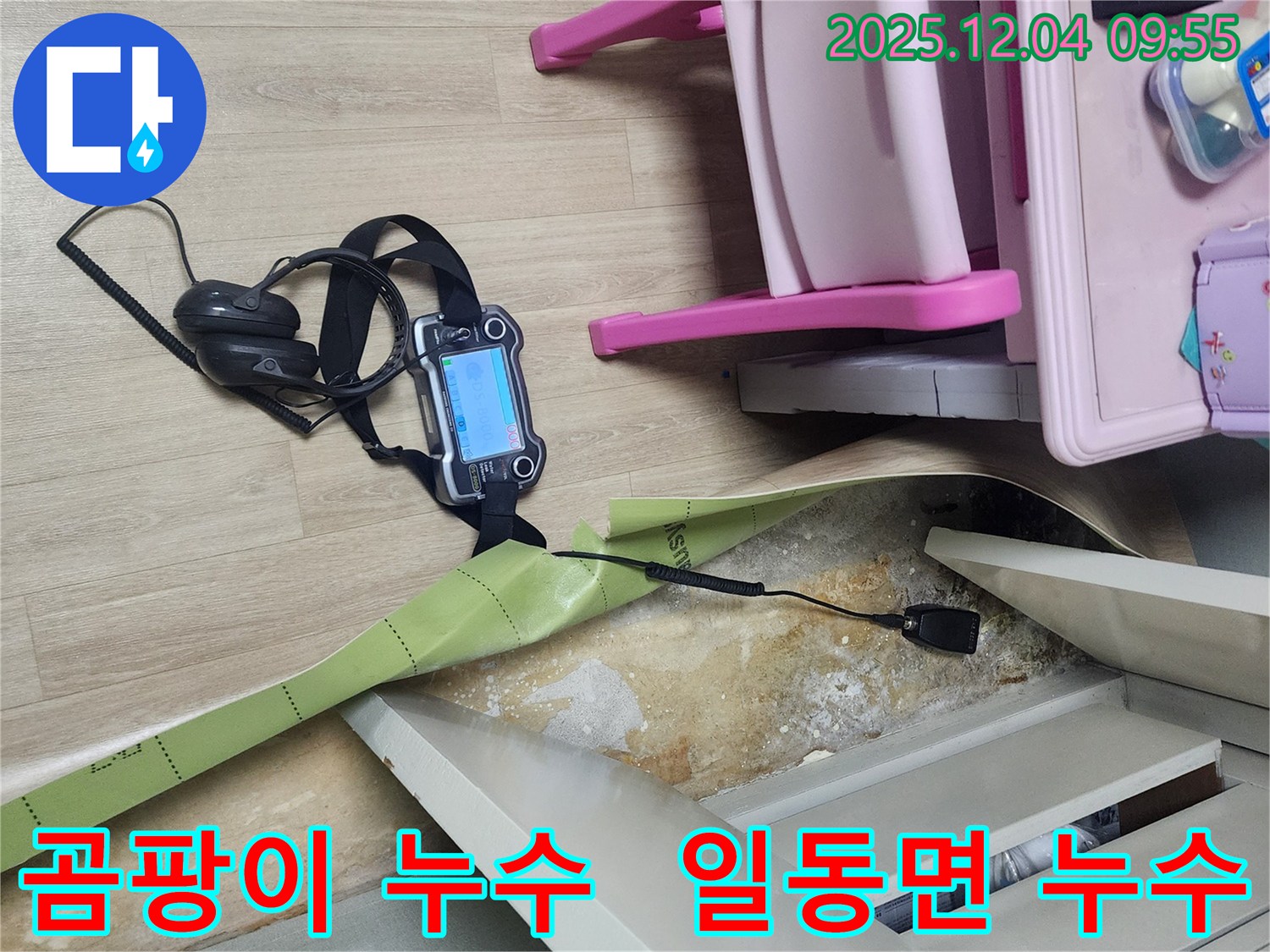 경기도 포천시 일동면 유동리 누수 현장 - 곰팡이가 핀 벽면, 누수 탐지 장비로 원인을 찾고 있습니다.