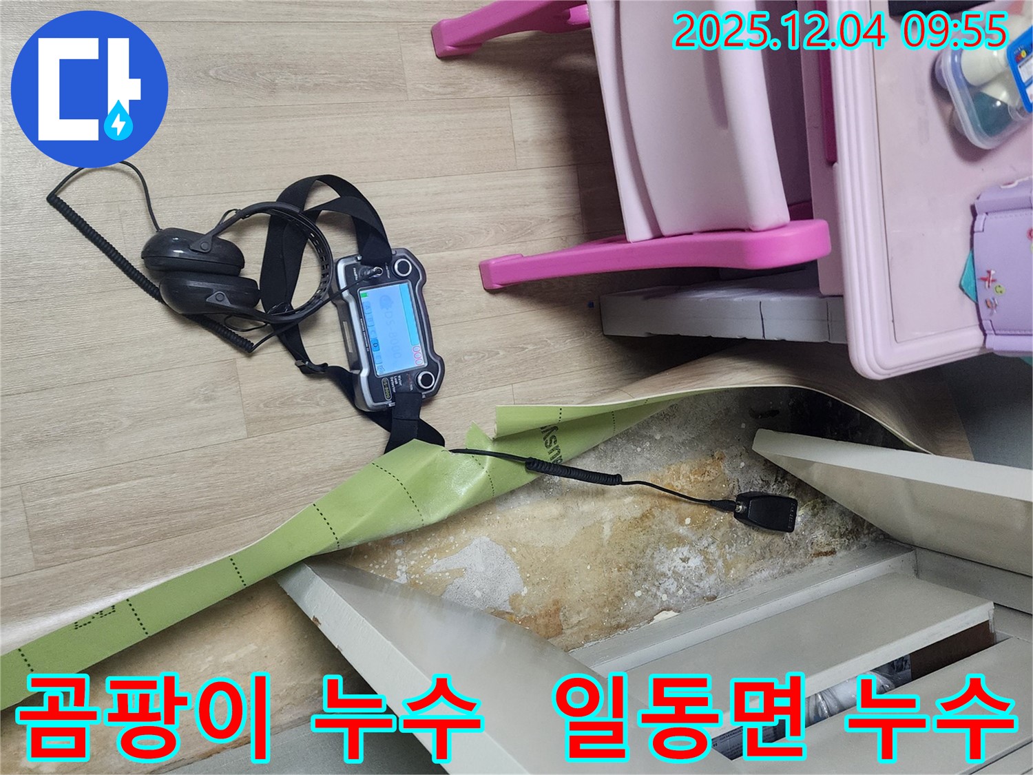 경기도 포천시 일동면 유동리 누수 현장 - 곰팡이가 핀 벽면, 누수 탐지 장비로 원인을 찾고 있습니다.