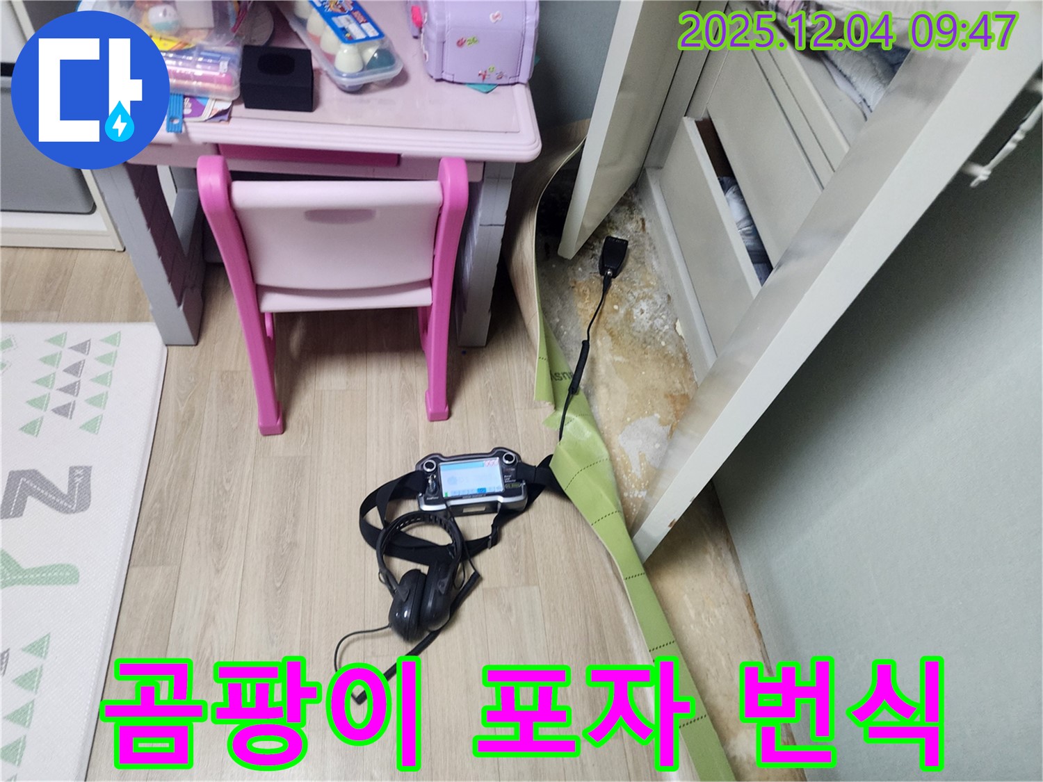 포천 일동면 누수 - 장판 밑 습기, 곰팡이 포자 번식?! 완벽 차단으로 곰팡이 걱정 끝!