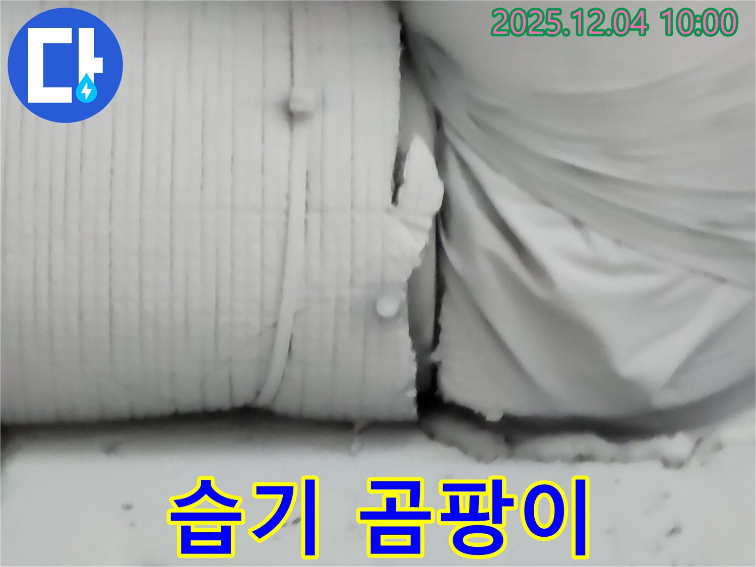 포천시 일동면 유동리 누수 현장 - 낡은 보온재가 습기를 머금고 곰팡이가 번식하여 건강을 위협하는 모습입니다.