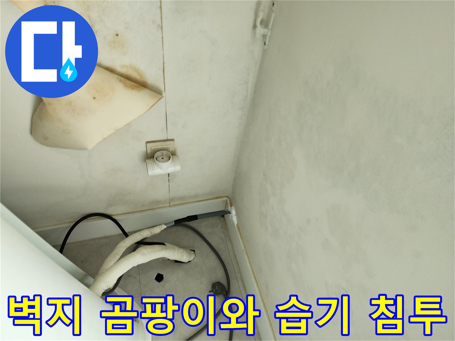 습기로 인해 훼손된 세탁실 벽면과 곰팡이 발생 부위