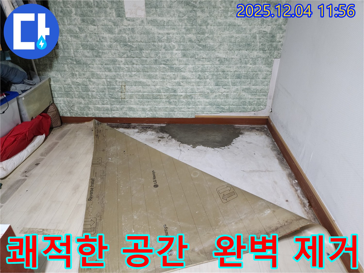포천 누수 - 썩은 장판 곰팡이 악취 완벽 제거 쾌적한 공간
