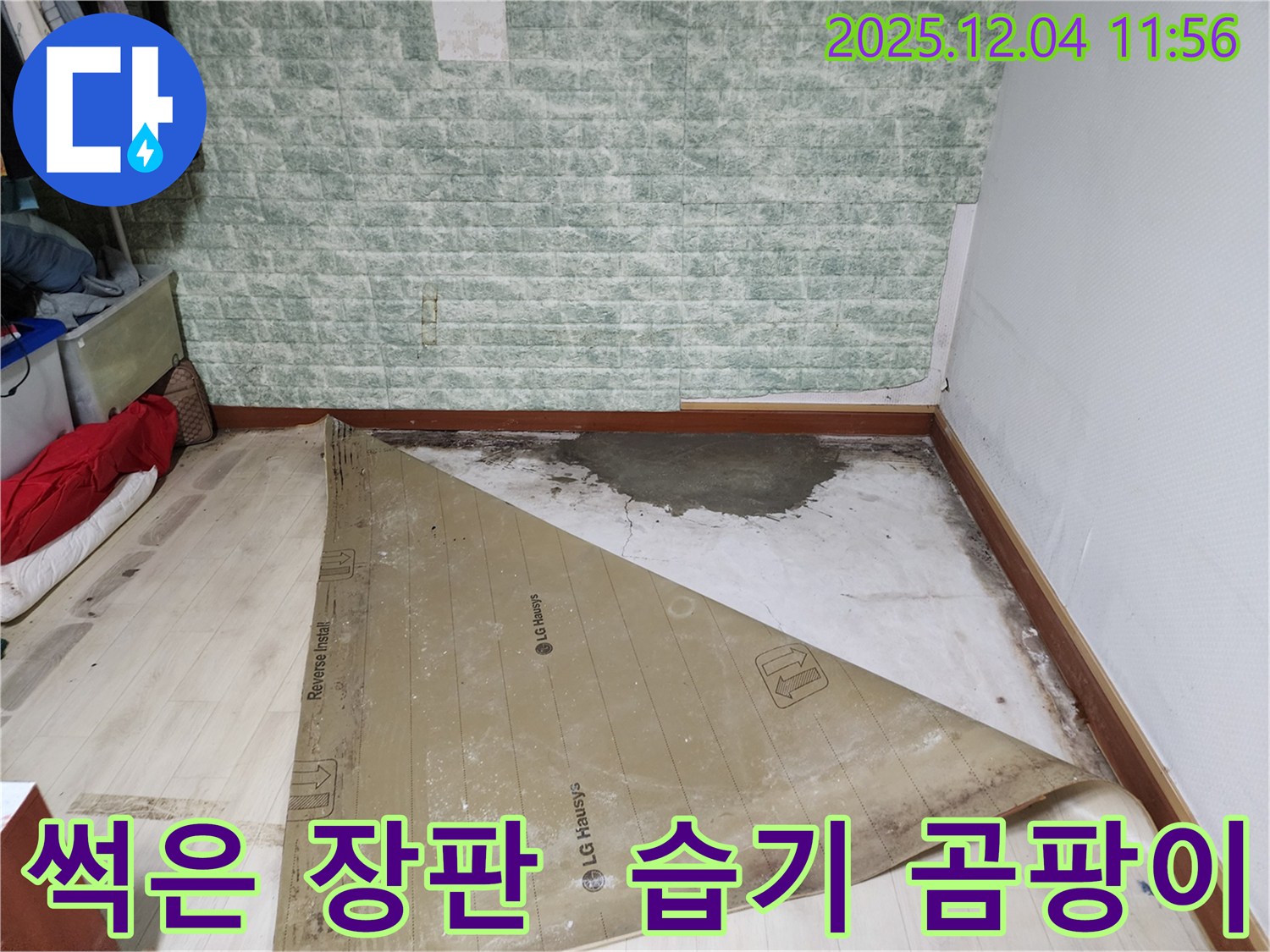 포천 누수 - 썩은 장판 습기 곰팡이 3중고 해결
