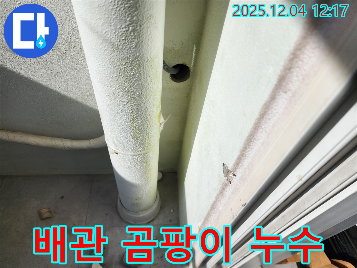 포천 일동면 누수 - 배관 주변에 곰팡이가 심하게 발생했습니다 - 누수 가능성이 매우 높습니다.