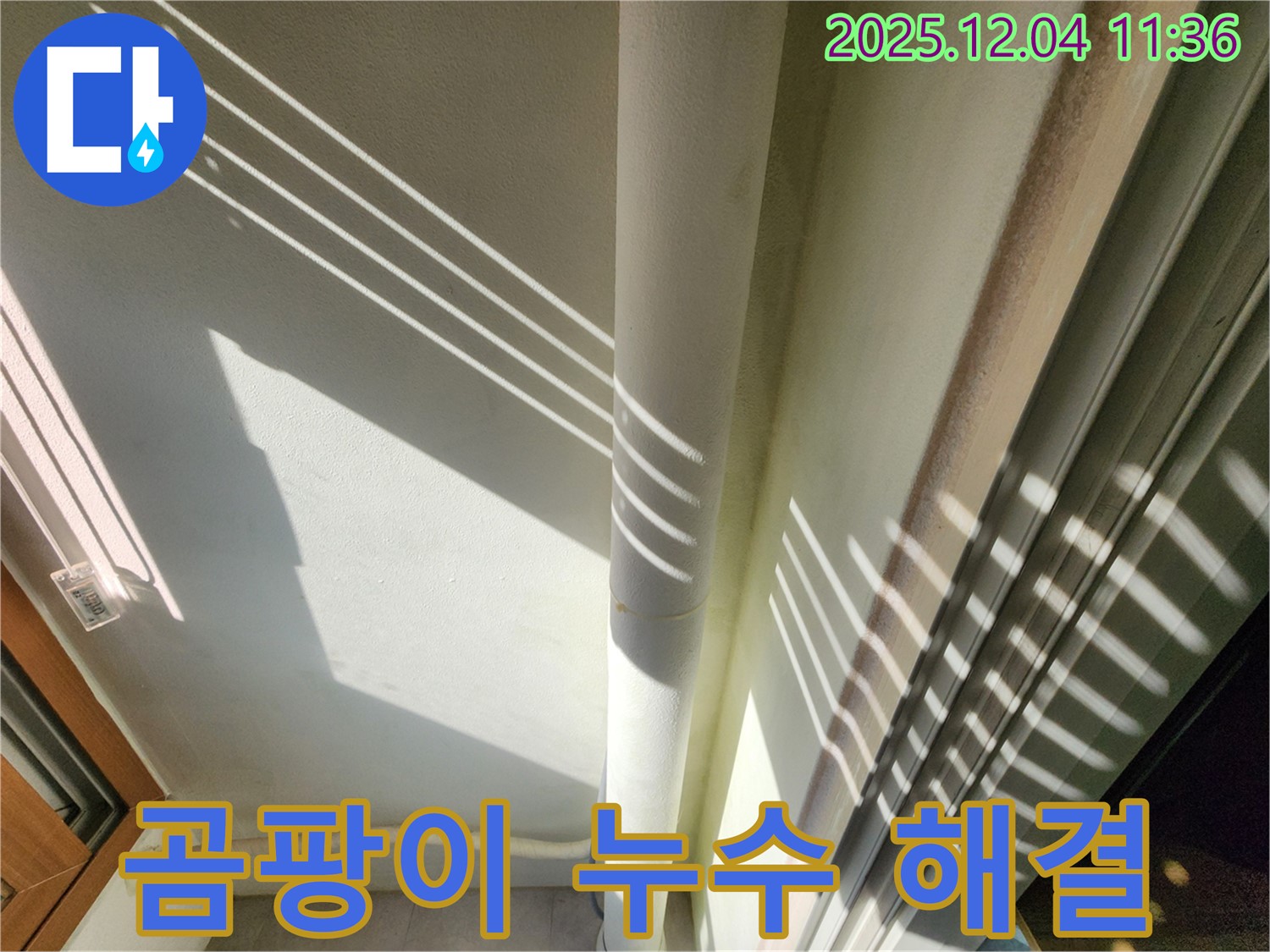 포천 일동면에서 발생한 베란다 곰팡이 누수 - 누수탐지 전문가가 정확한 원인을 찾아 곰팡이 문제와 누수를 동시에 해결했습니다.
