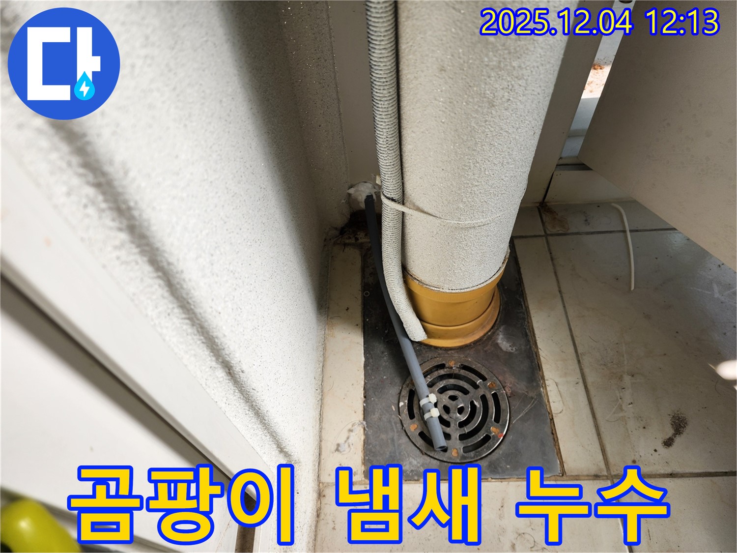 포천시 일동면 배수구 주변 곰팡이 냄새 - 원인 제거 및 항균 시공으로 쾌적하게!