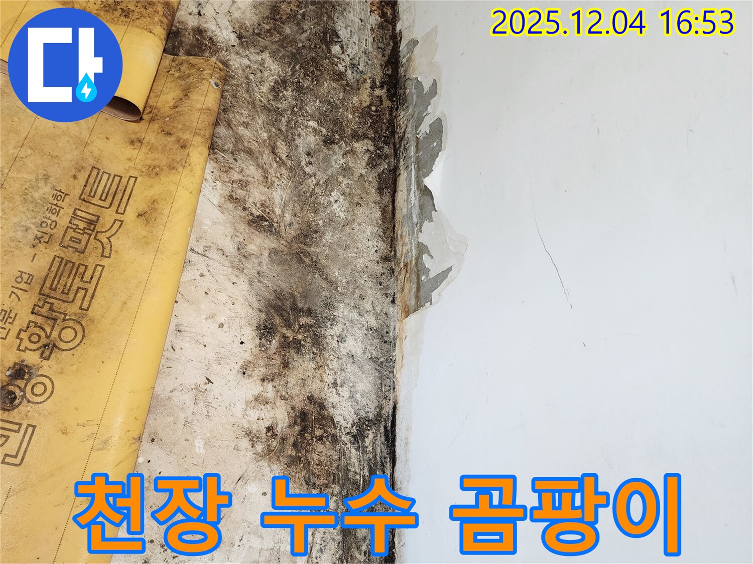 천장 누수와 곰팡이 - 누수 해결 및 곰팡이 제거 시공