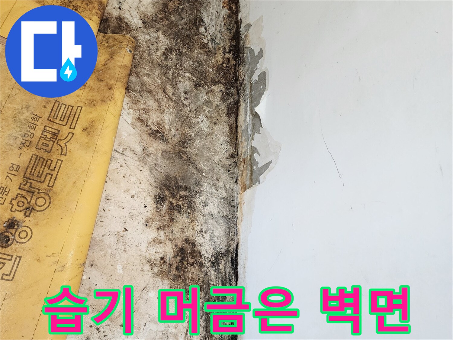 포천 일동면 작업 현장-곰팡이로 오염된 벽면과 바닥의 상태를 근접 촬영한 사진