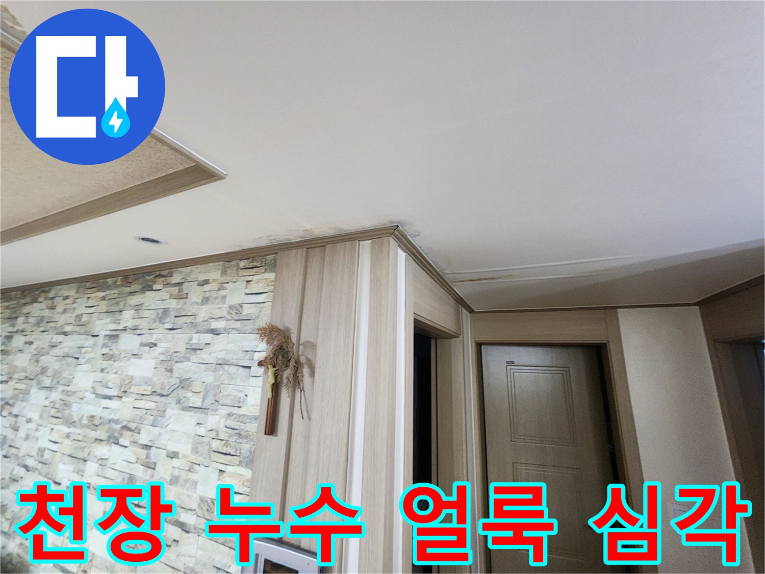 천장과 벽면에 심각한 물 얼룩 - 누수 발생 지점 확인