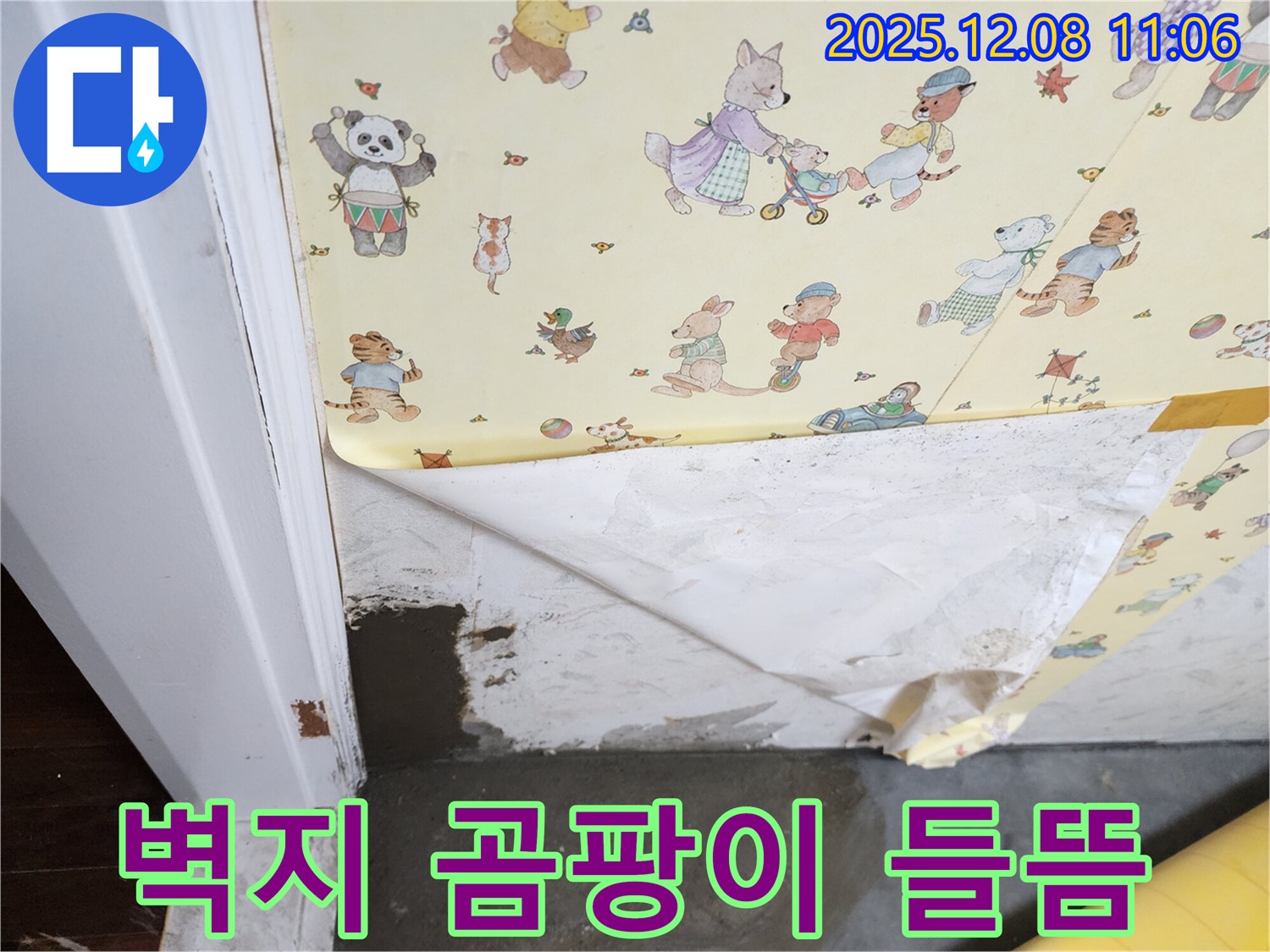 포천 영중면 누수 현장 - 벽지 속 곰팡이와 들뜬 벽지 문제 해결