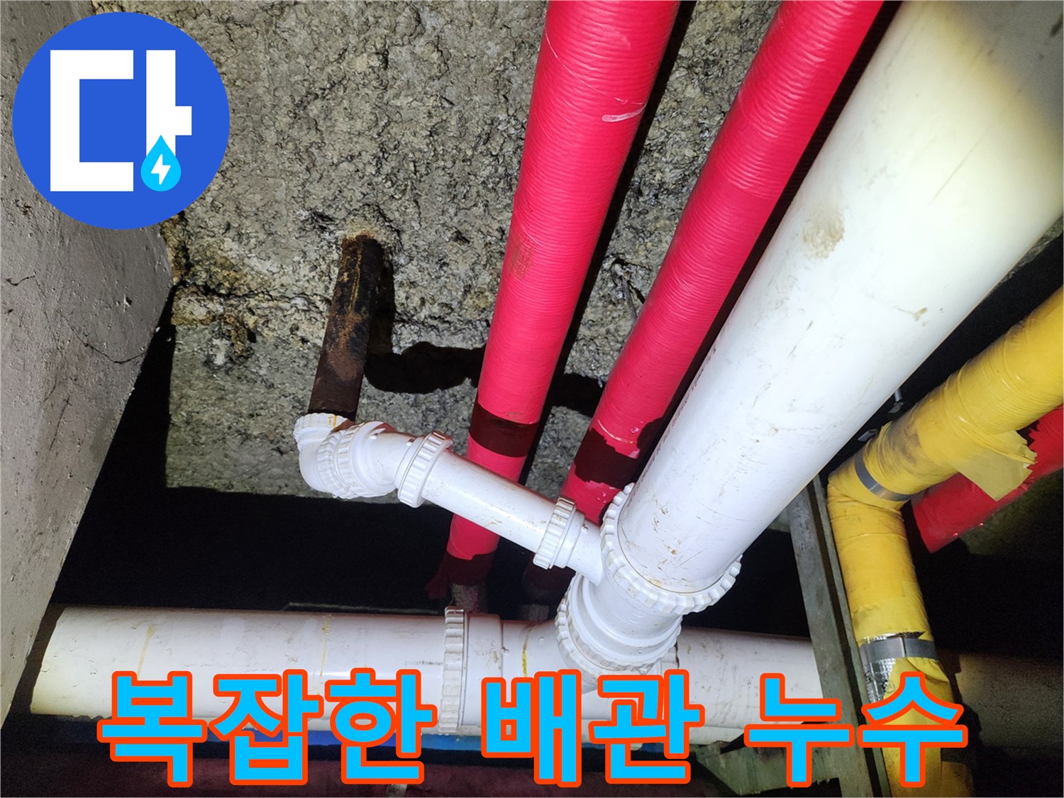 노원구 월계동 복잡한 배관 누수 - 꼼꼼한 점검으로 해결