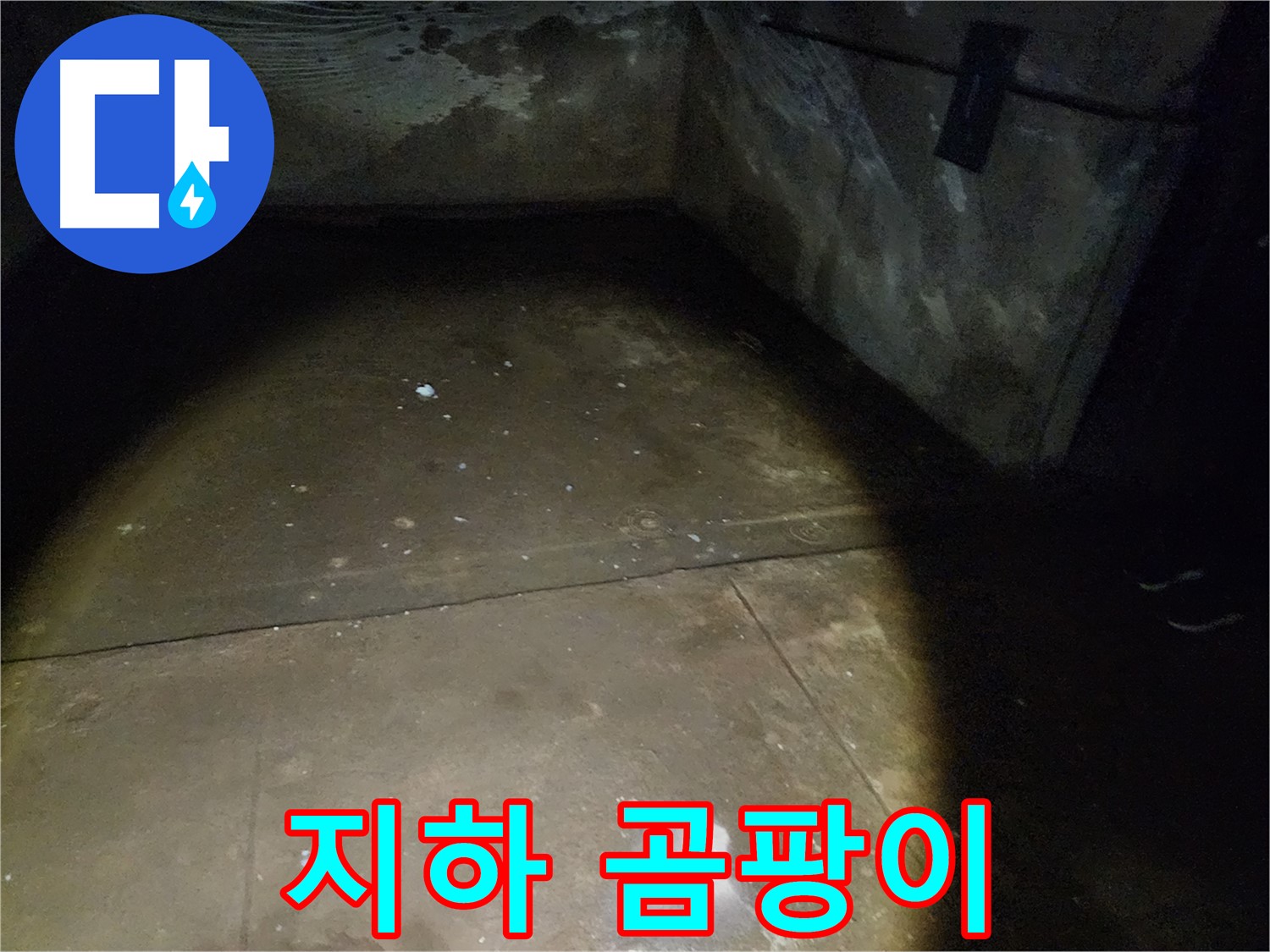 월계동 삼호아파트 37동 지하 - 눅눅한 지하를 뽀송뽀송하게 바꿔드리는 누수 공사 현장입니다.