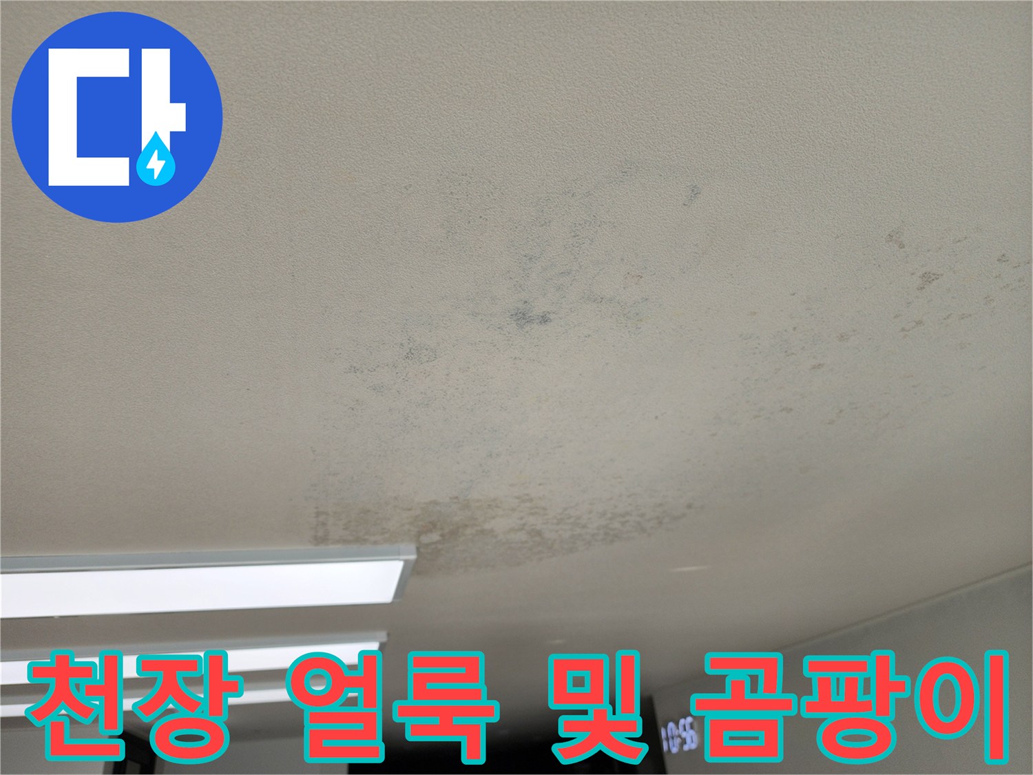 거실 천장에 발생한 넓은 범위의 누수 흔적과 곰팡이 상태