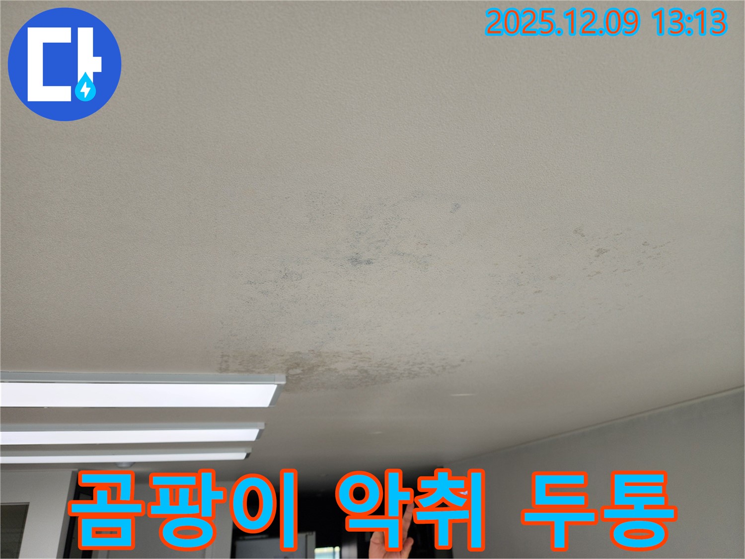 경기도 포천시 영중면 성동리 - 곰팡이 악취로 인한 두통 유발 천장 누수