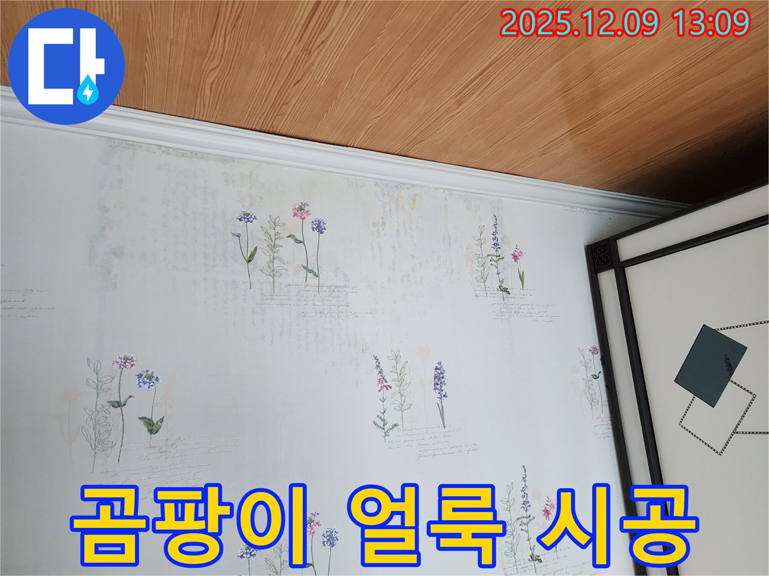 곰팡이와 얼룩으로 오염된 벽지 - 꼼꼼한 시공으로 재발까지 방지하는 누수 탐지 서비스.