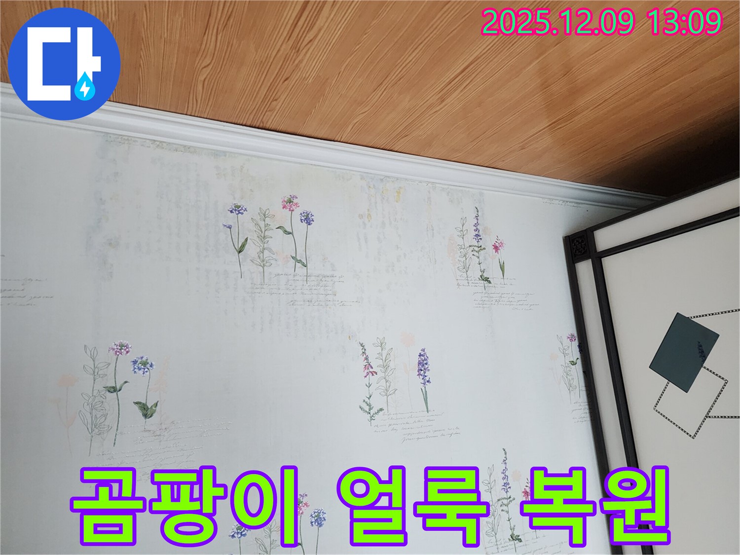 곰팡이와 얼룩으로 오염된 벽지 - 누수 해결 후 깨끗하게 복원하여 쾌적한 공간을 만들어 드립니다.