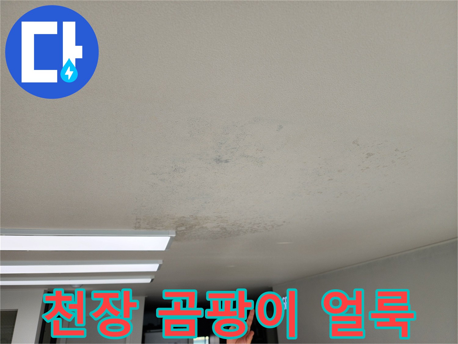 누수 피해로 인해 곰팡이가 발생한 천장 벽지 모습