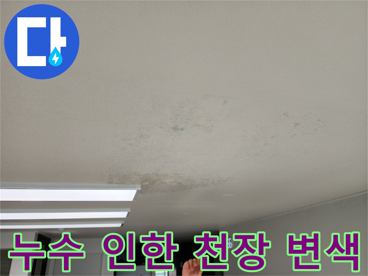물샘 현상으로 인해 얼룩지고 곰팡이가 생긴 천장