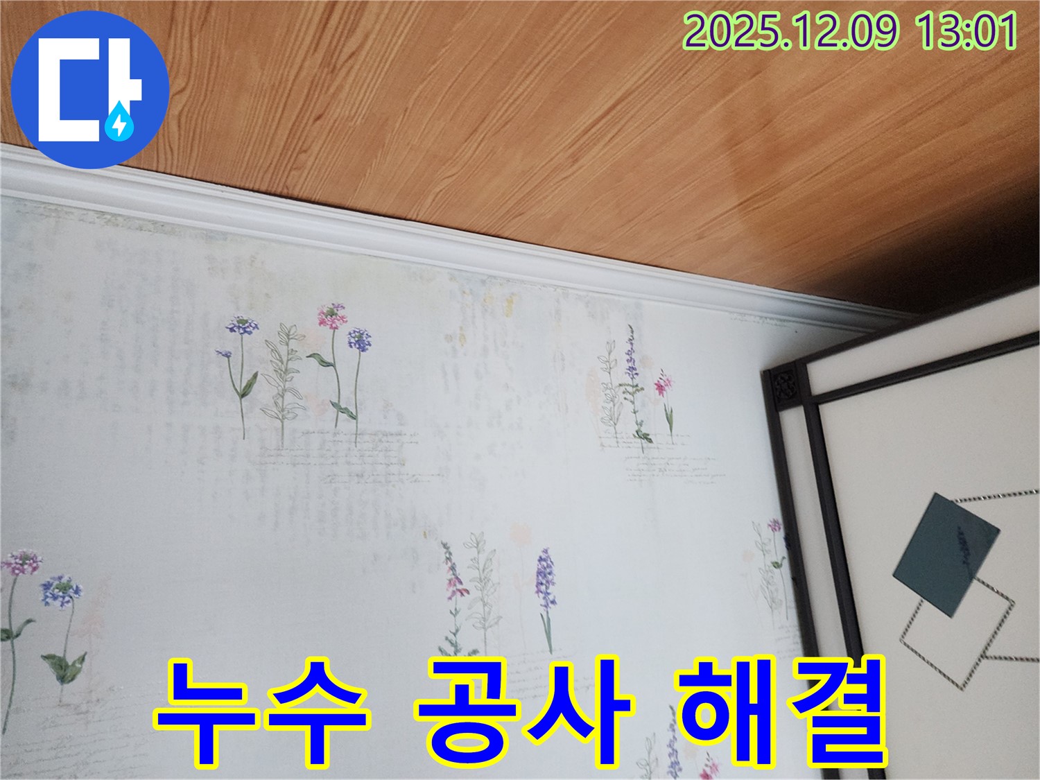 성동리 누수 현장 - 곰팡이 확산 방지 위한 꼼꼼한 누수 공사 과정