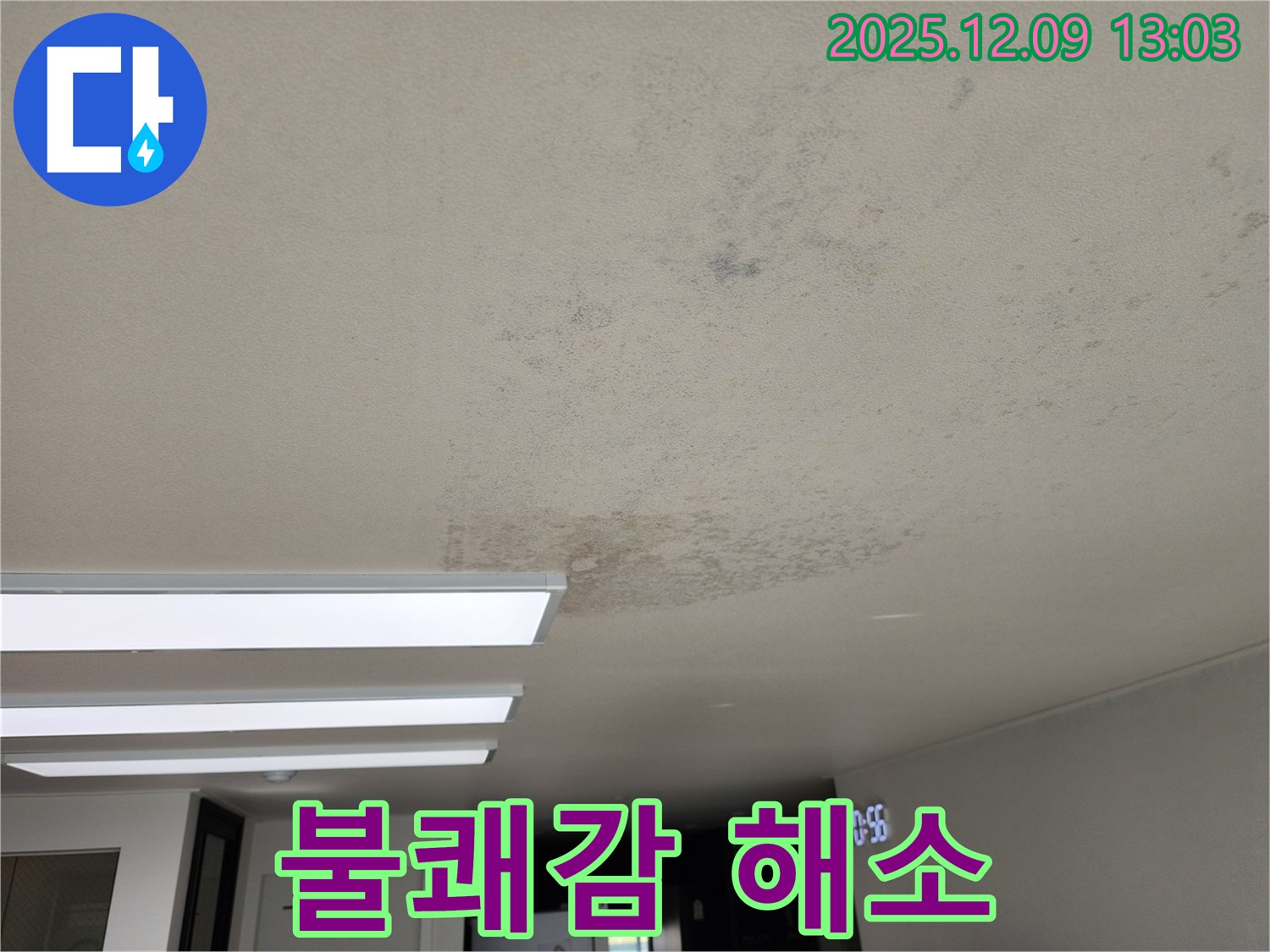성동리 - 천장 누수 곰팡이 냄새 불쾌감 해소 - 상쾌하게