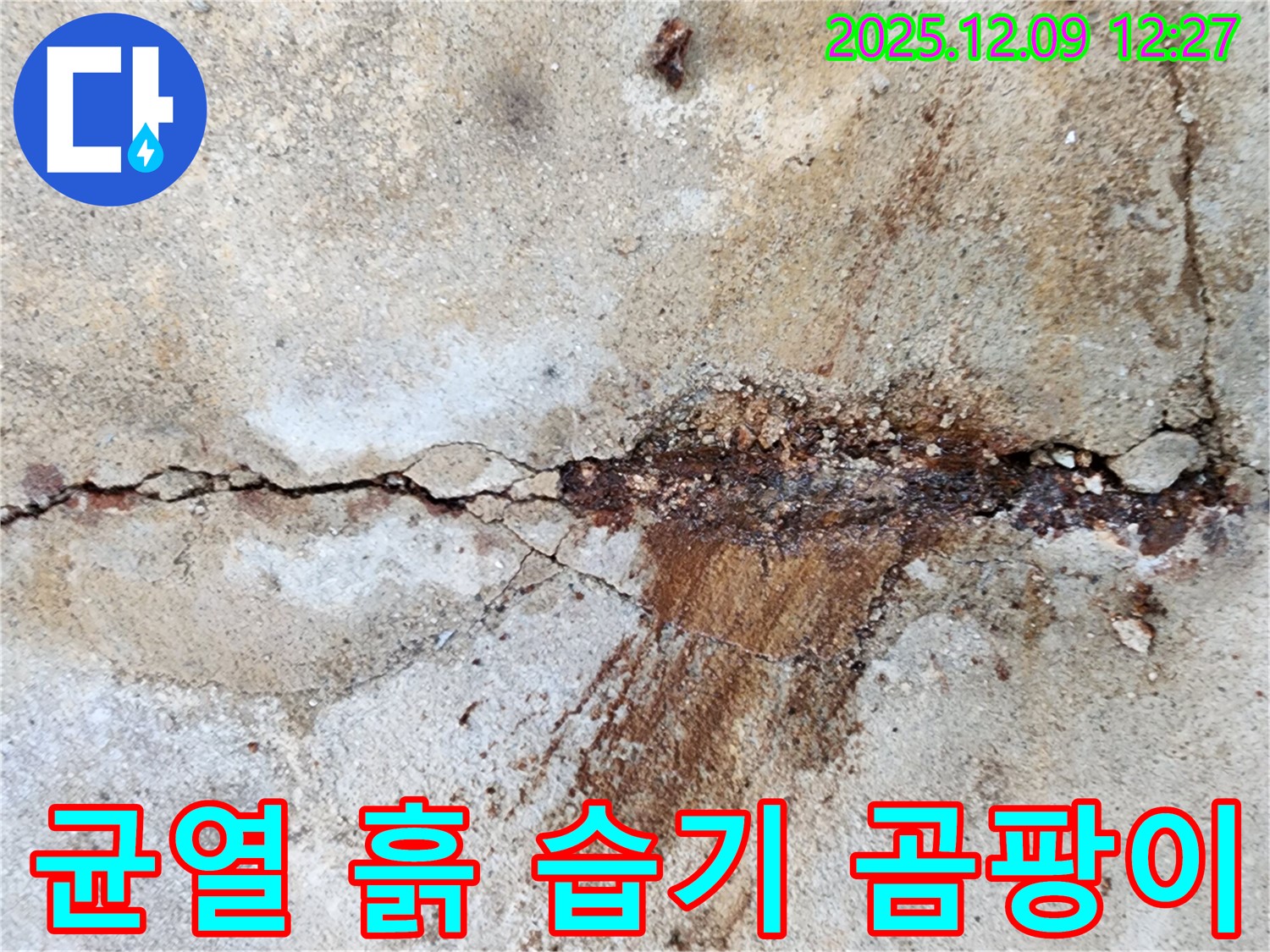 성동리 콘크리트 균열 - 흙과 함께 스며드는 습기는 곰팡이 서식 위험을 높이고 건강까지 위협합니다!