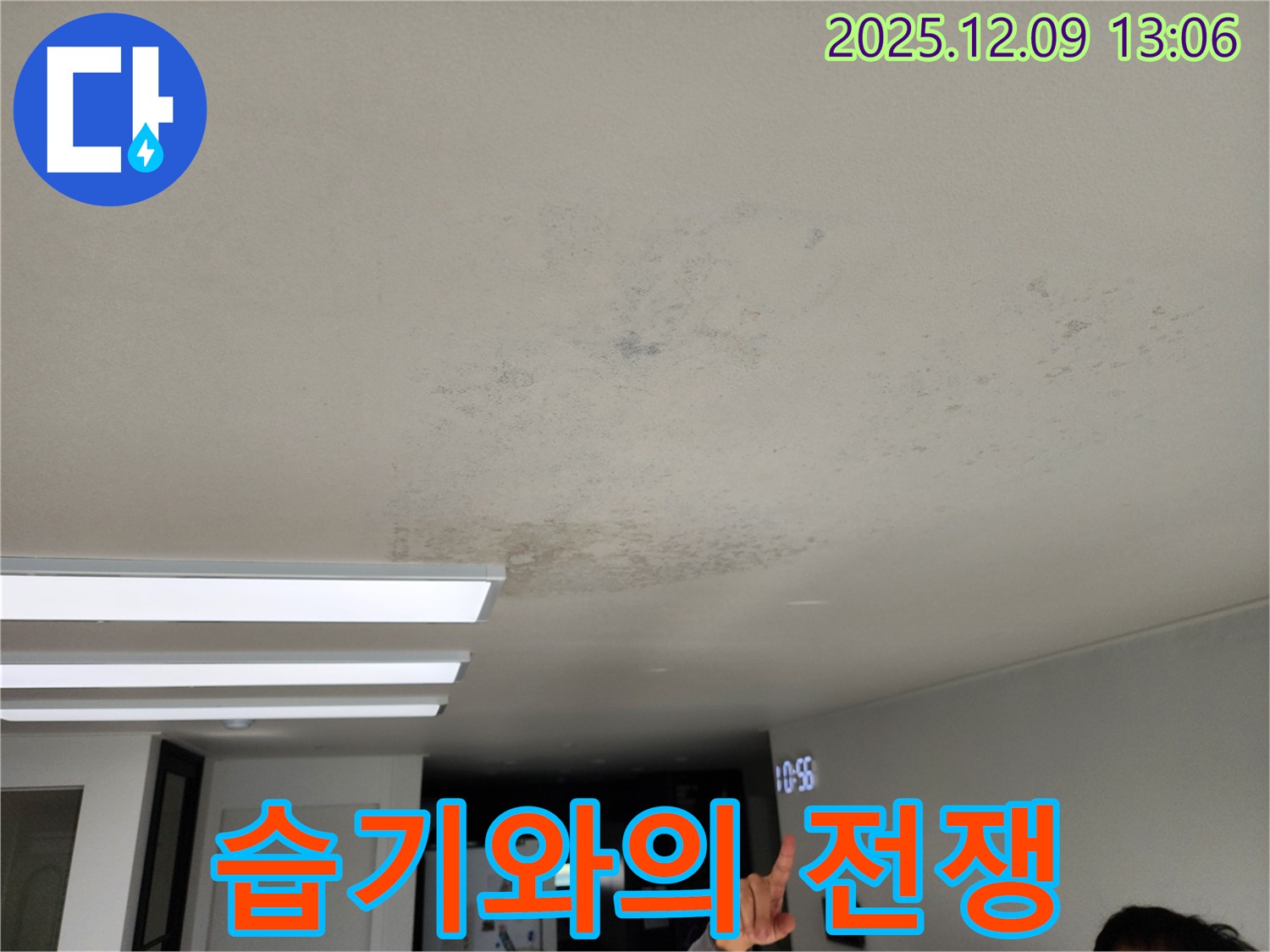 습기와의 전쟁 - 포천 영중면 누수 현장에서 천장 습기로 인한 곰팡이 문제를 해결하기 위해 노력하고 있습니다.