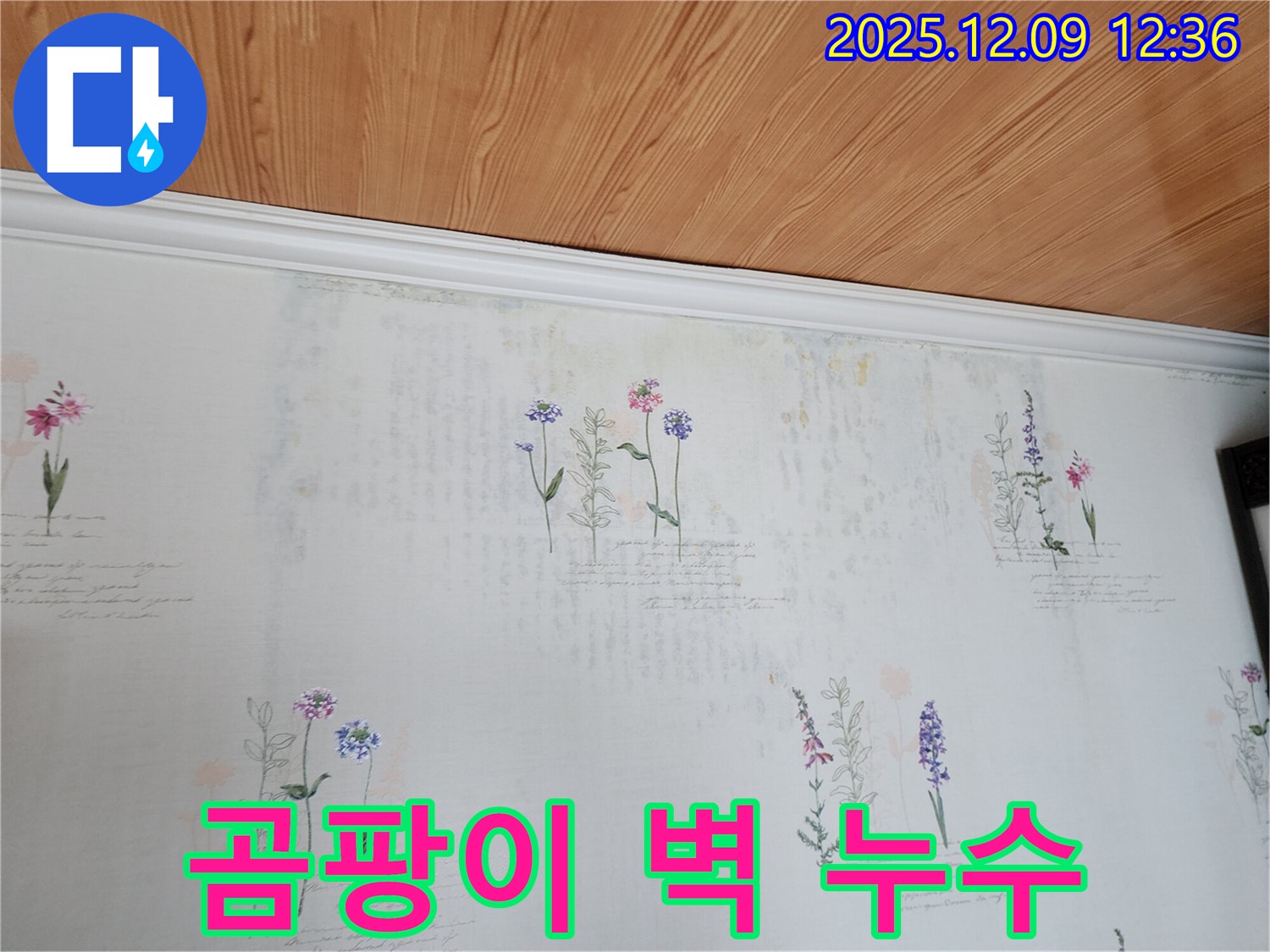 영중면 성동리 누수 문제 해결 - 곰팡이 핀 벽의 누수 원인을 정확하게 파악하고 해결하는 누수 공사