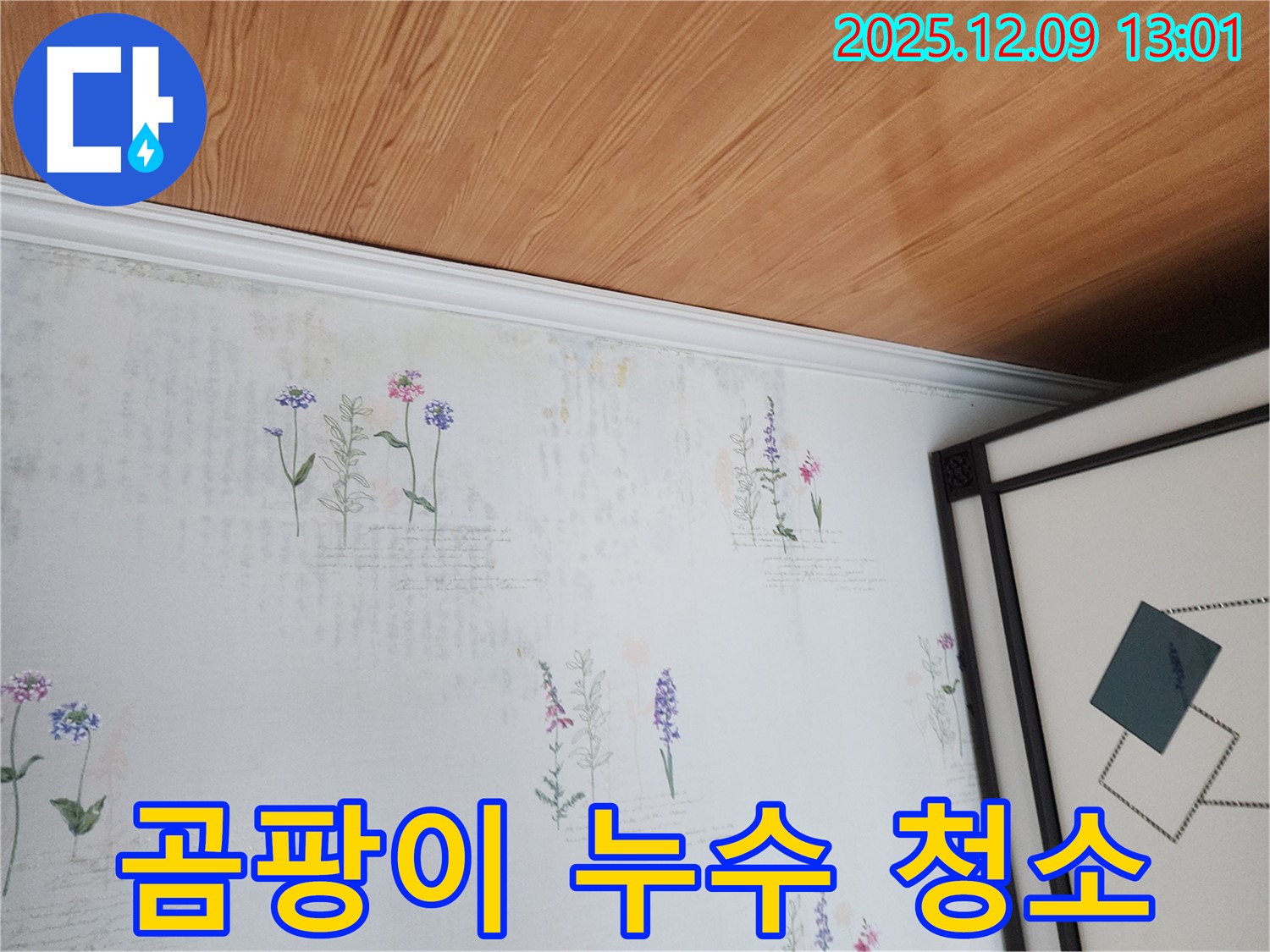 영중면 성동리 누수 현장 - 곰팡이 문제 깨끗하게 청소하는 과정 상세 사진